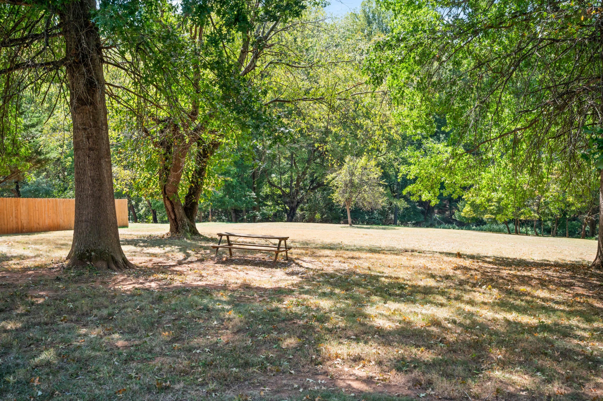 1435 Belmont DR - Photo 41