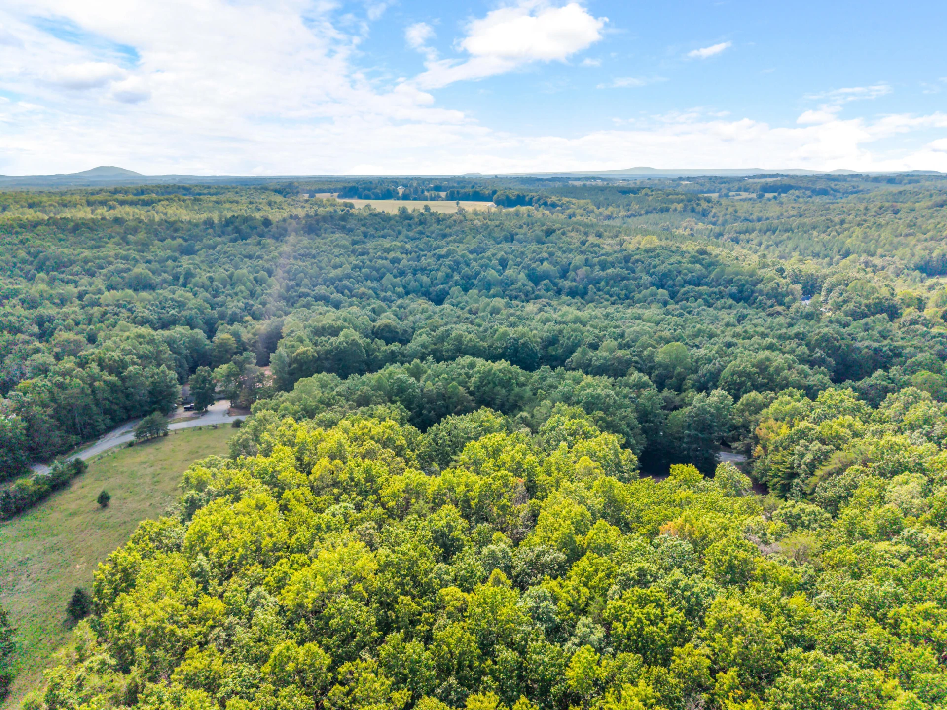 1523 Moccasin Path TRL - Photo 44