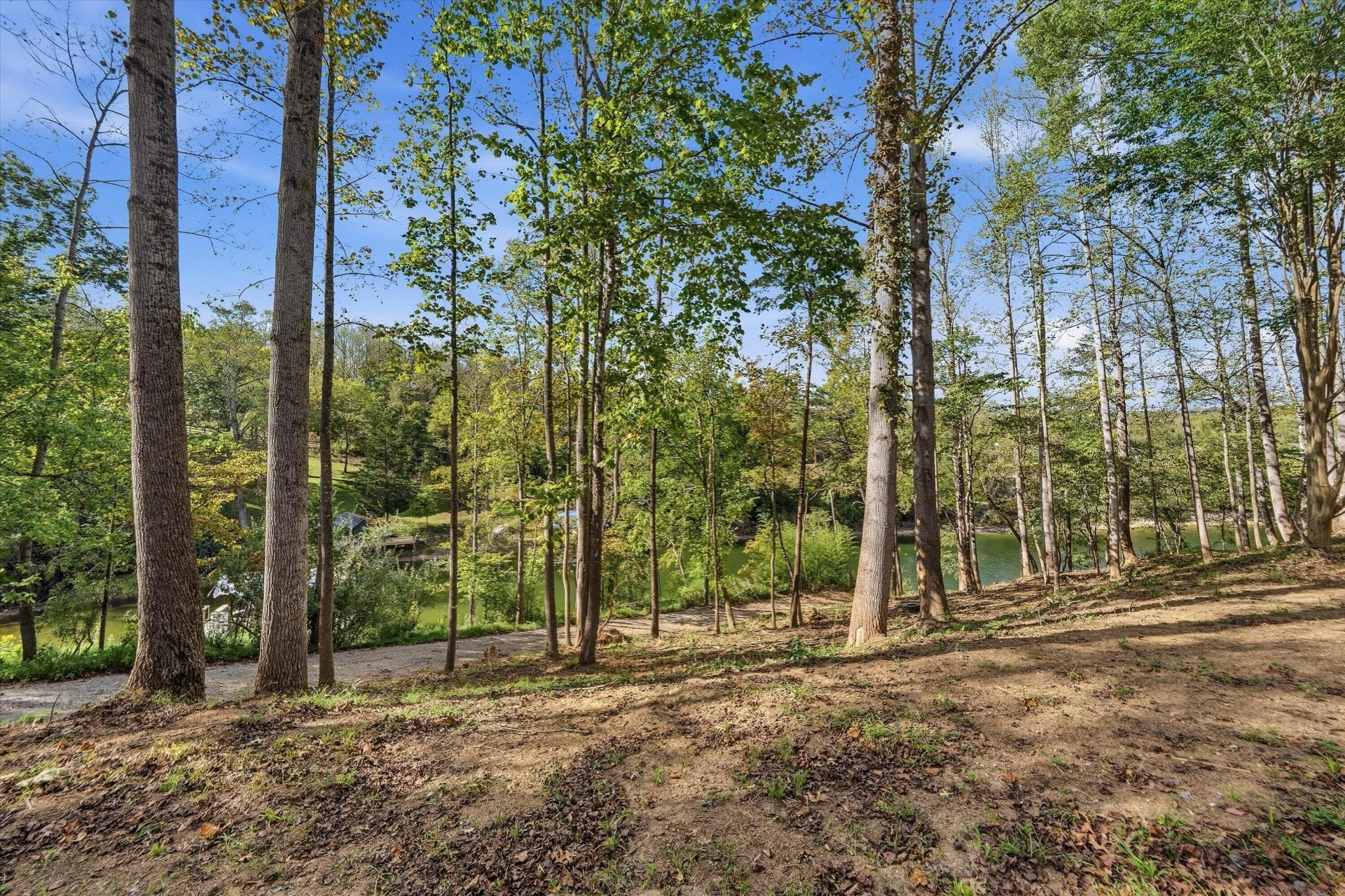 853 Juniper RD - Photo 8