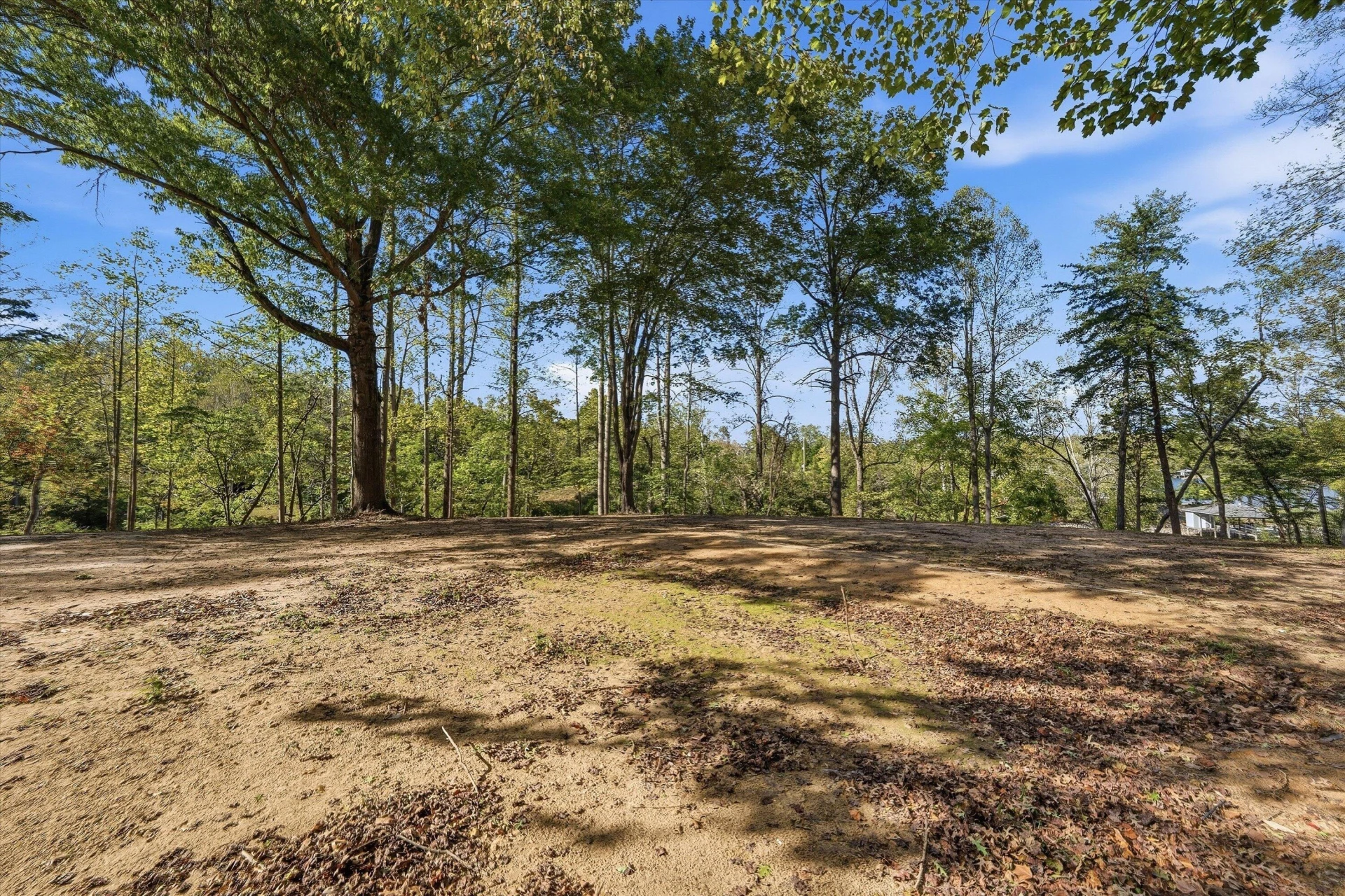 853 Juniper RD - Photo 21