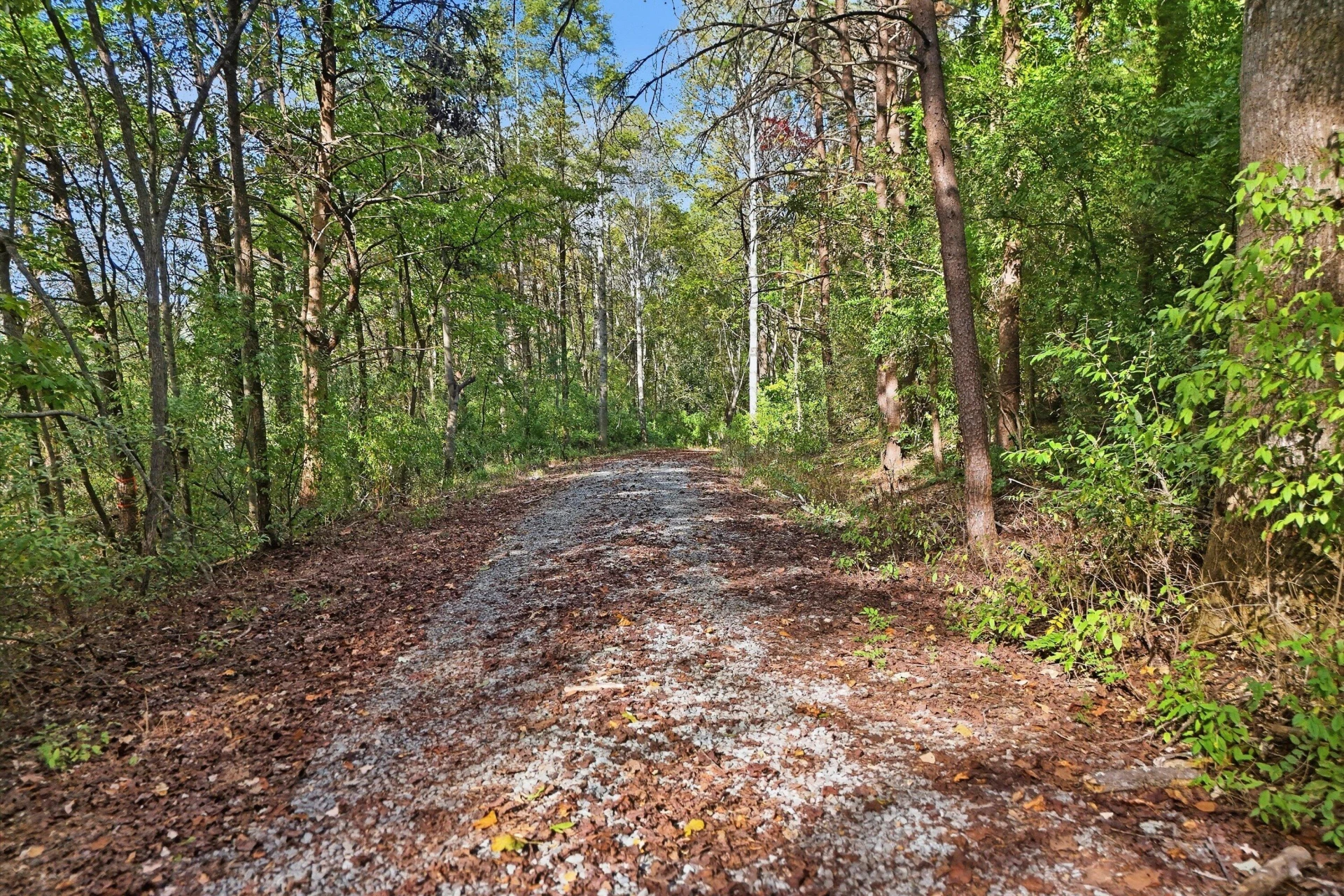 853 Juniper RD - Photo 16