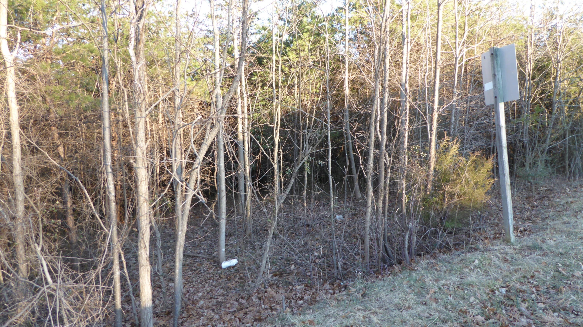 0 South Main ST - Photo 8
