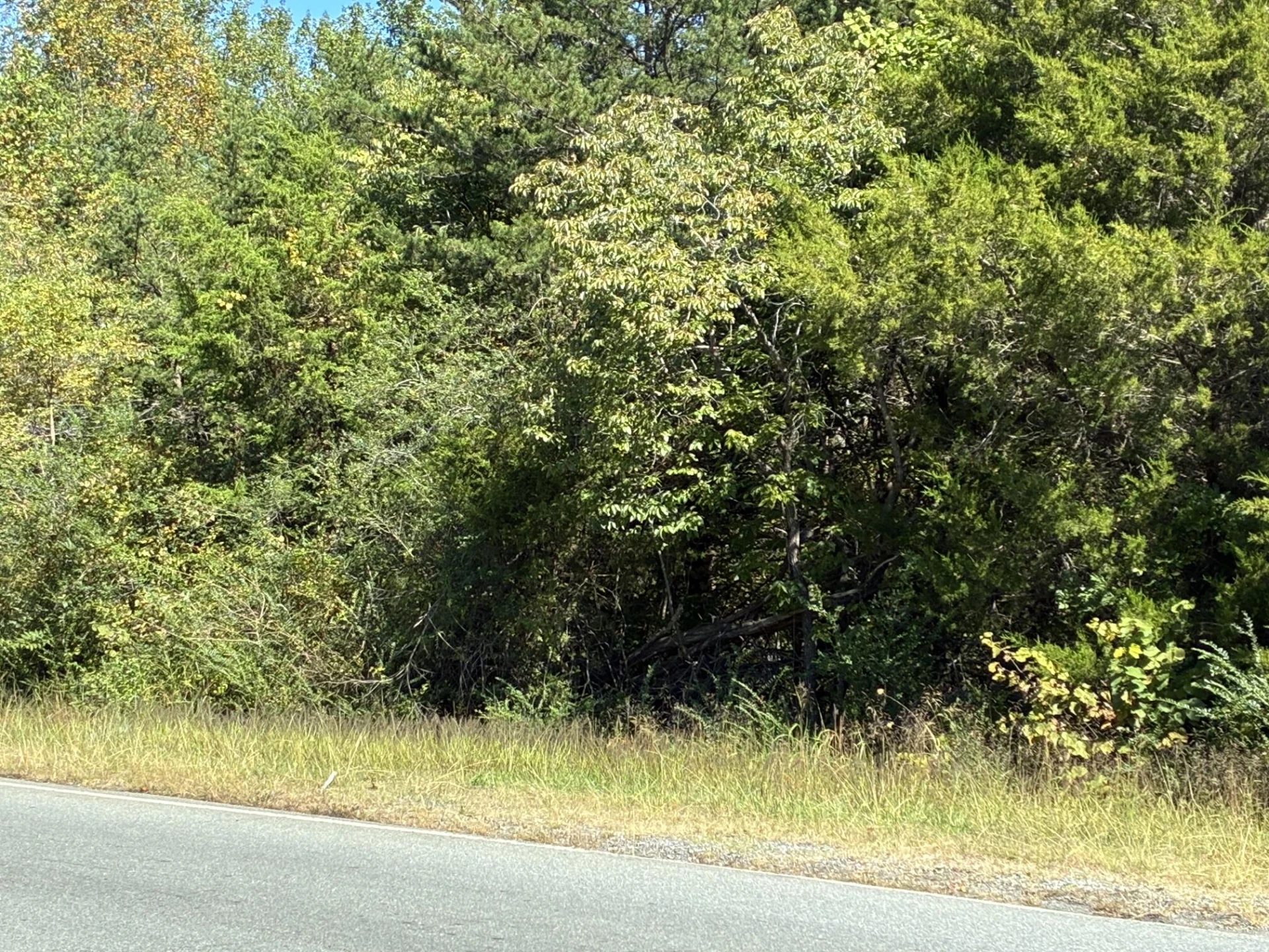 0 South Main ST - Photo 2