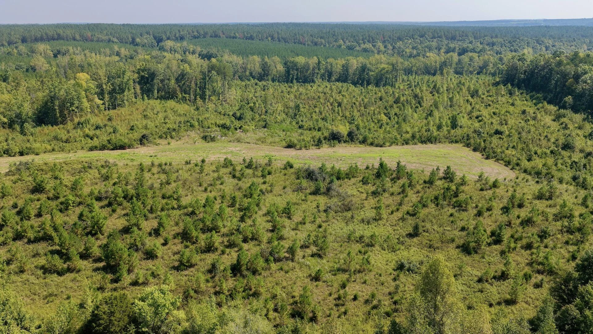 1170 Shelton RD - Photo 9