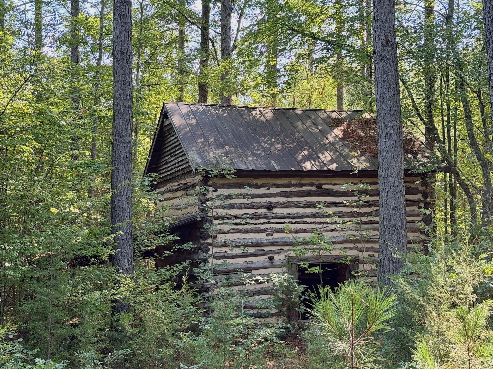 1170 Shelton RD - Photo 14