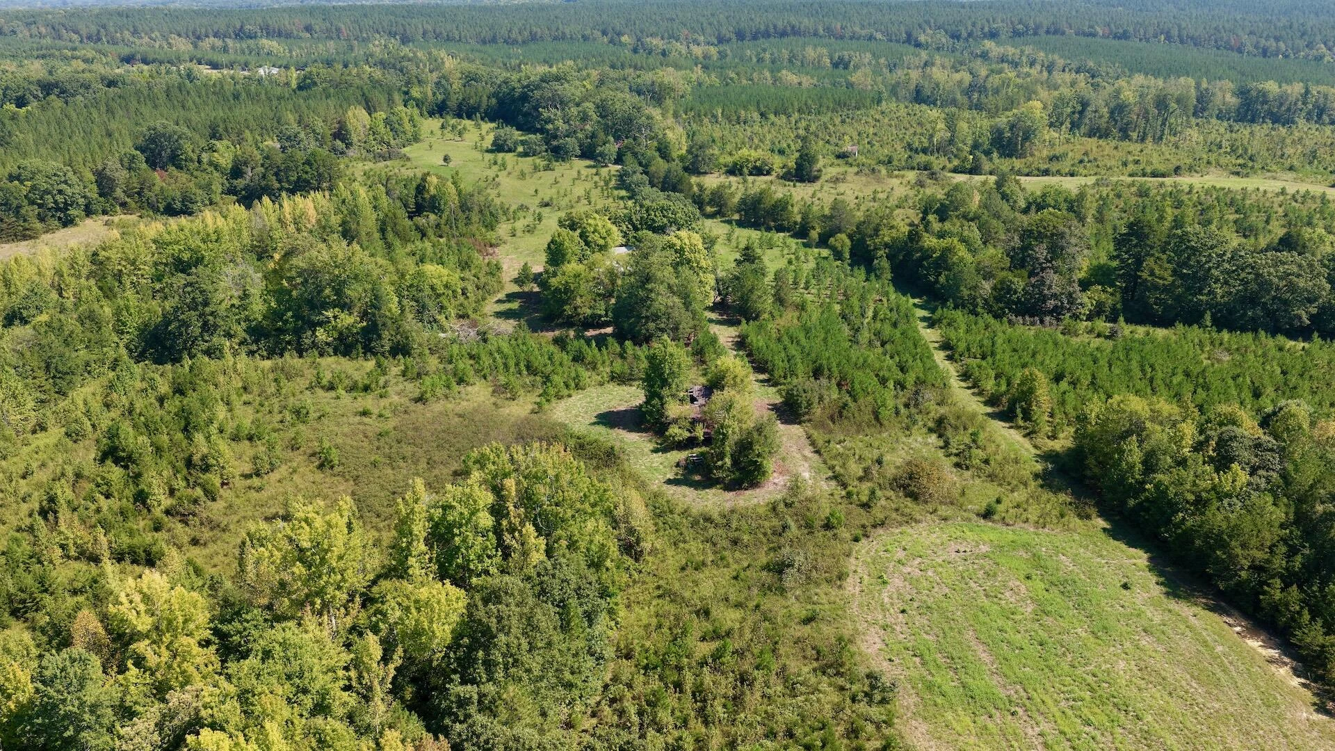 1170 Shelton RD - Photo 18