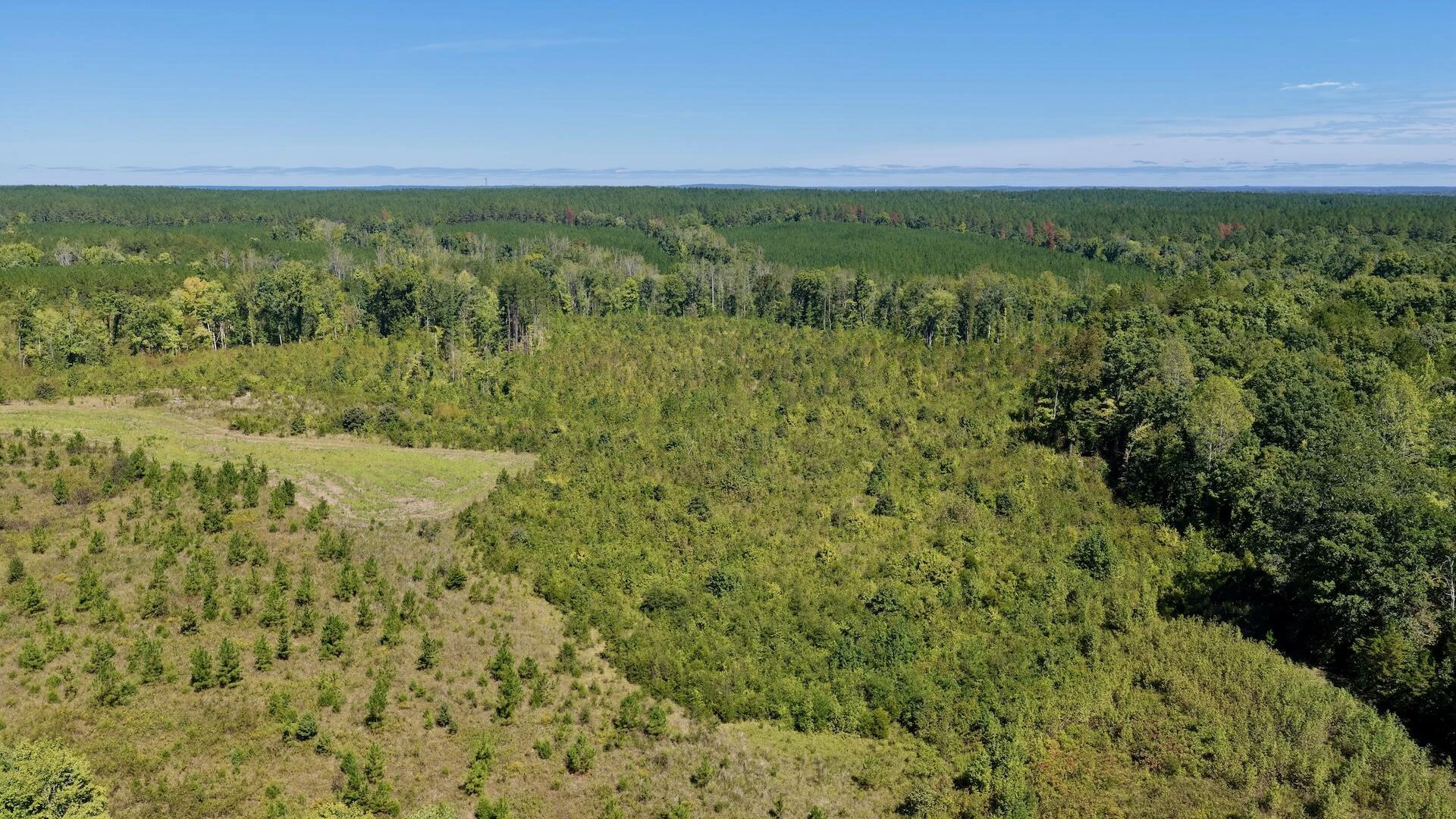 1170 Shelton RD - Photo 21