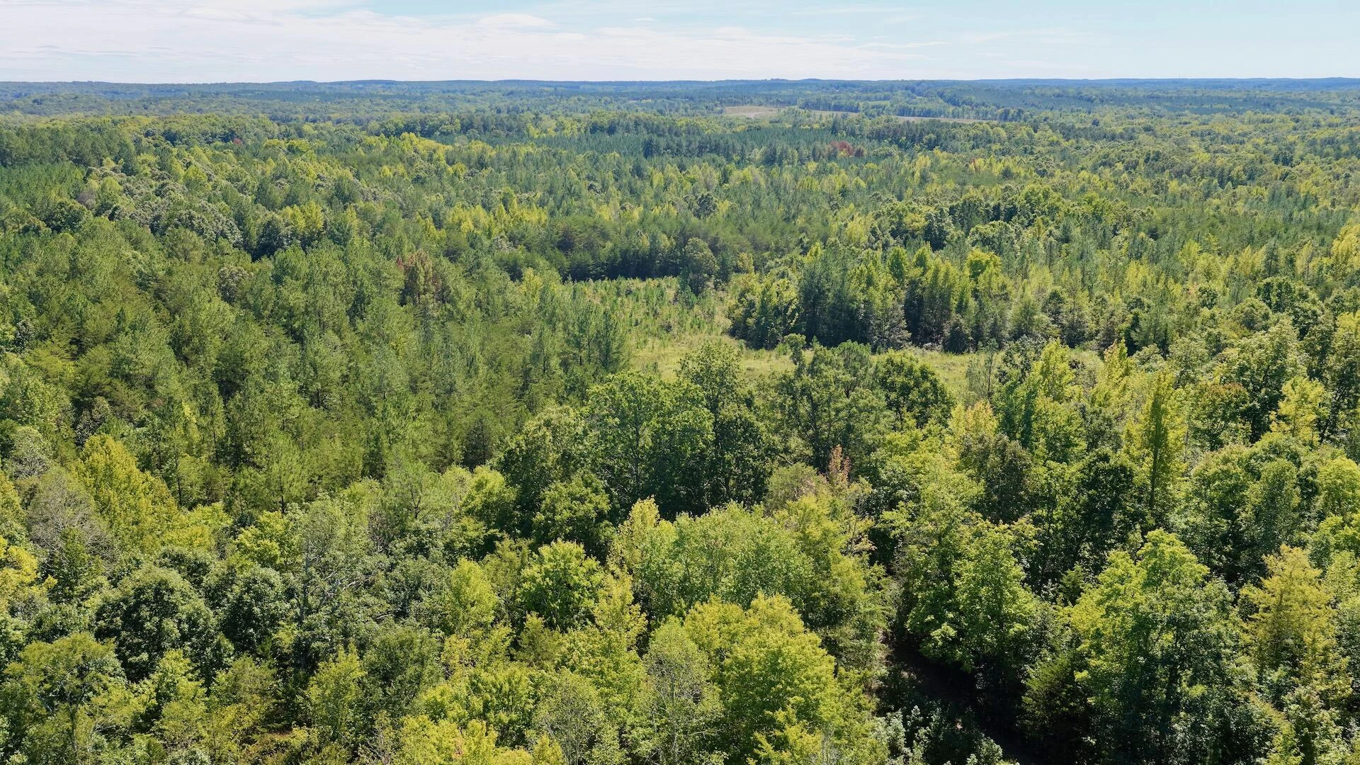 1170 Shelton RD - Photo 22