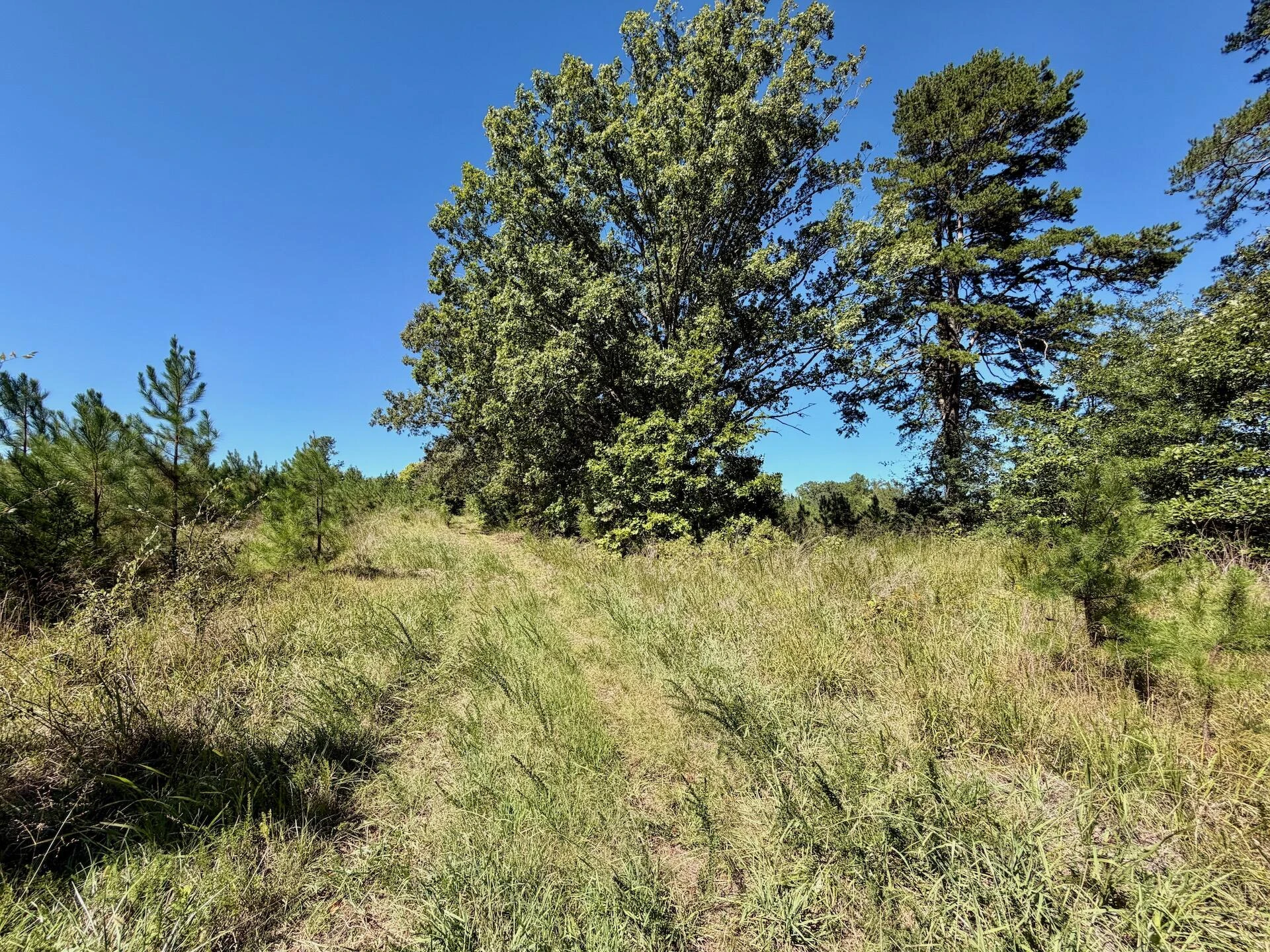 1170 Shelton RD - Photo 25
