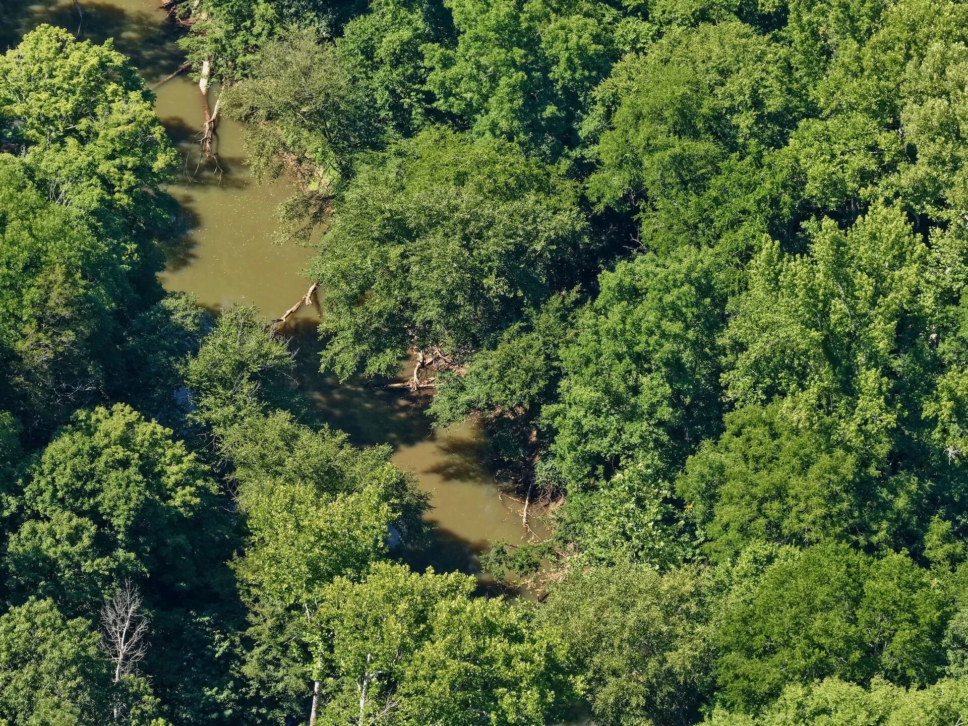 1170 Shelton RD - Photo 32