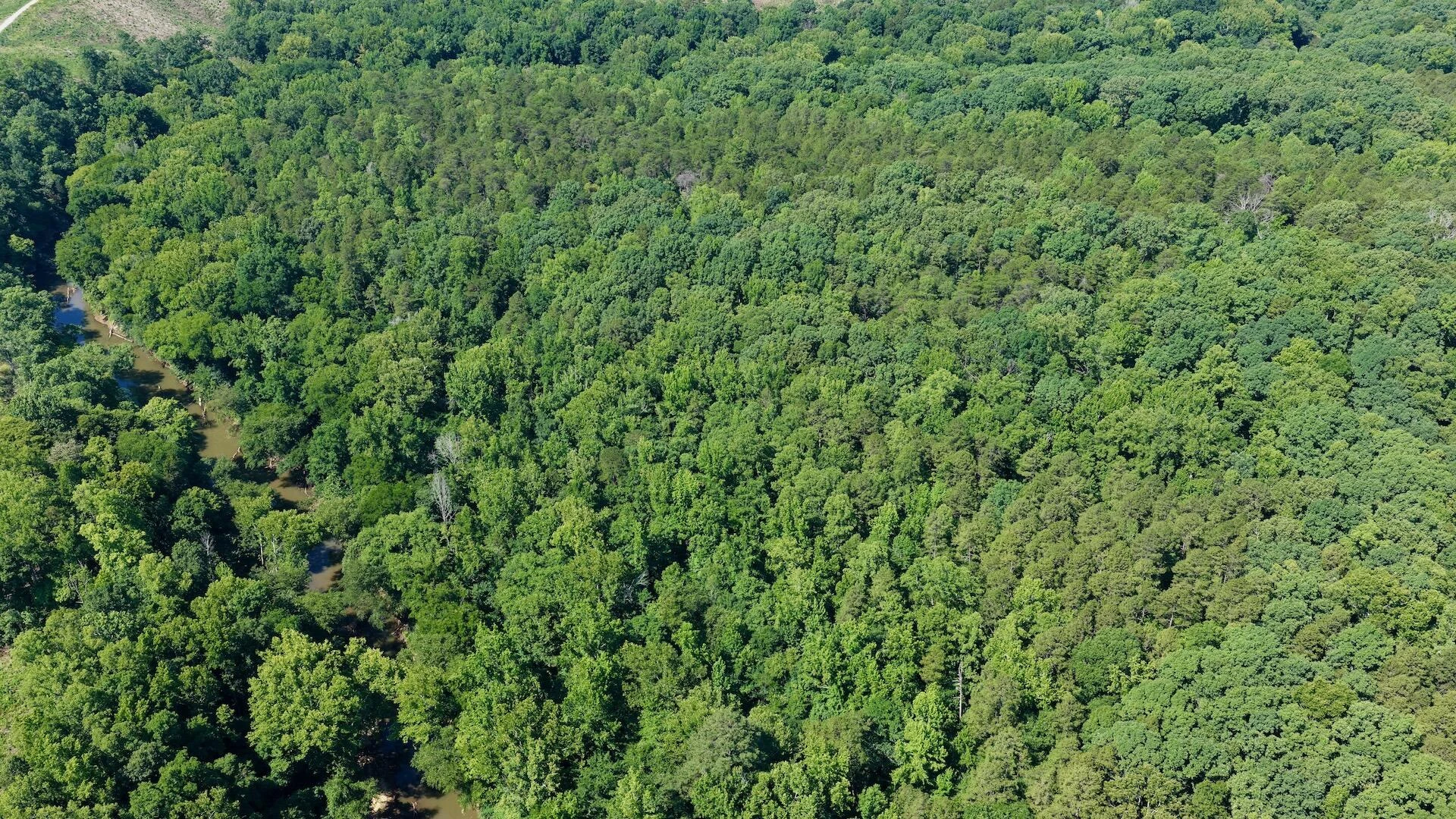 1170 Shelton RD - Photo 33