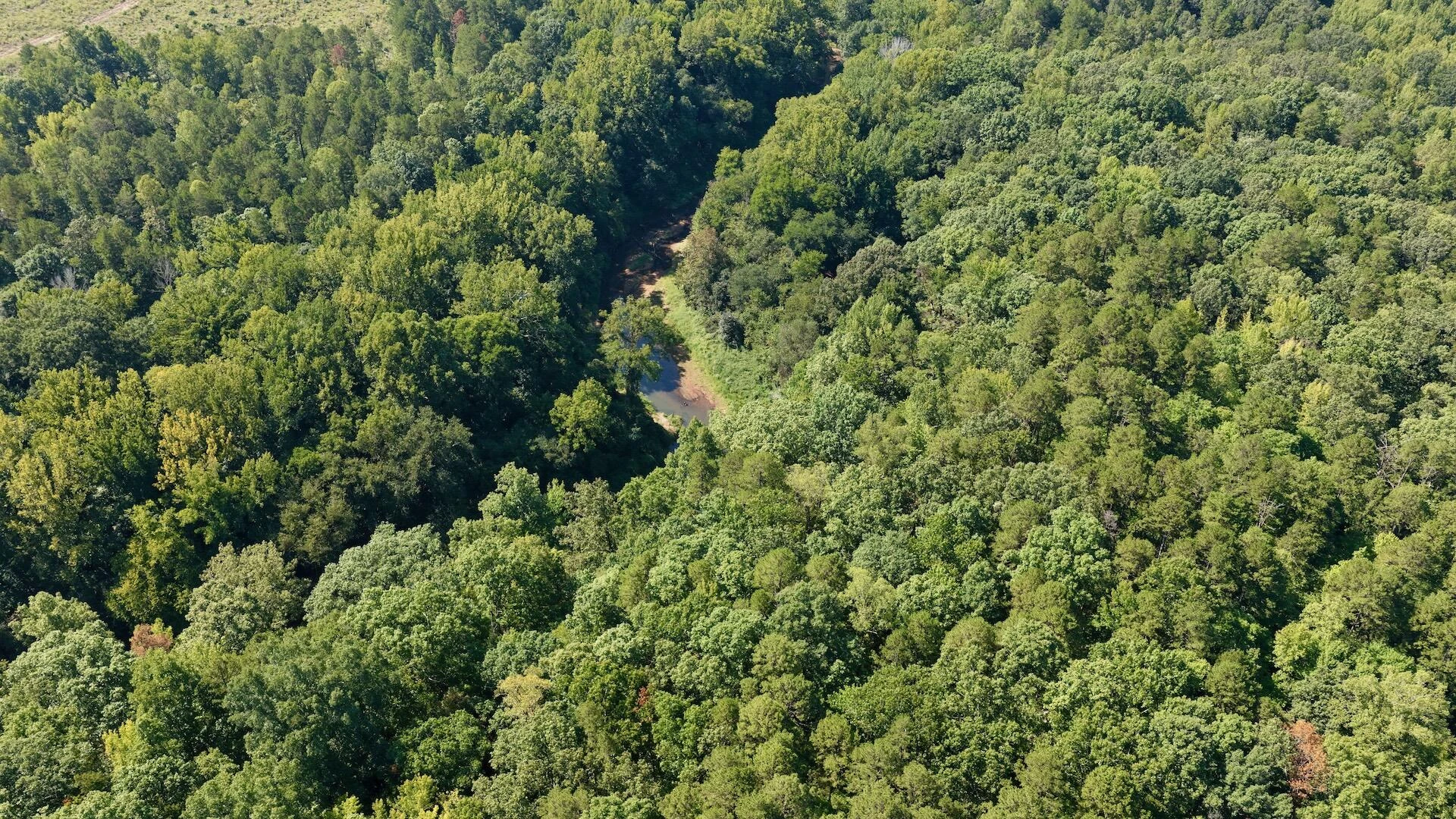 1170 Shelton RD - Photo 36
