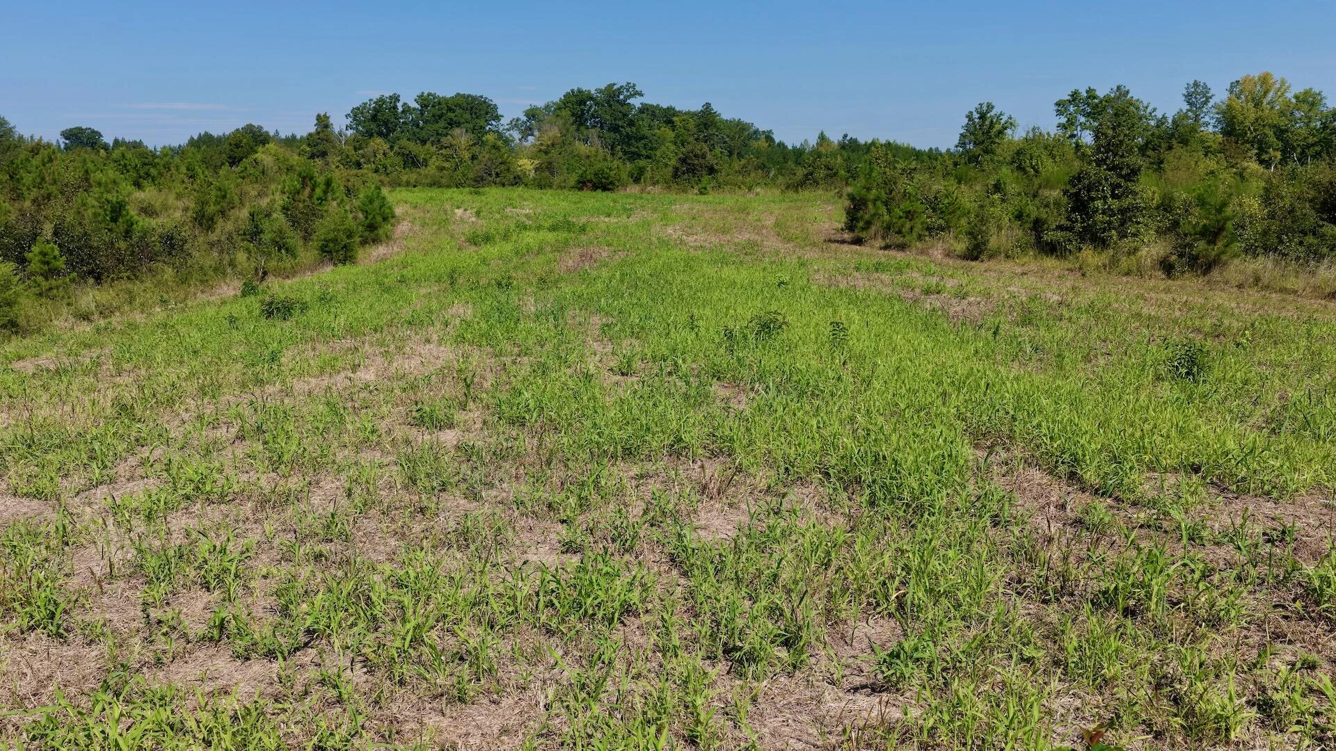 1170 Shelton RD - Photo 37