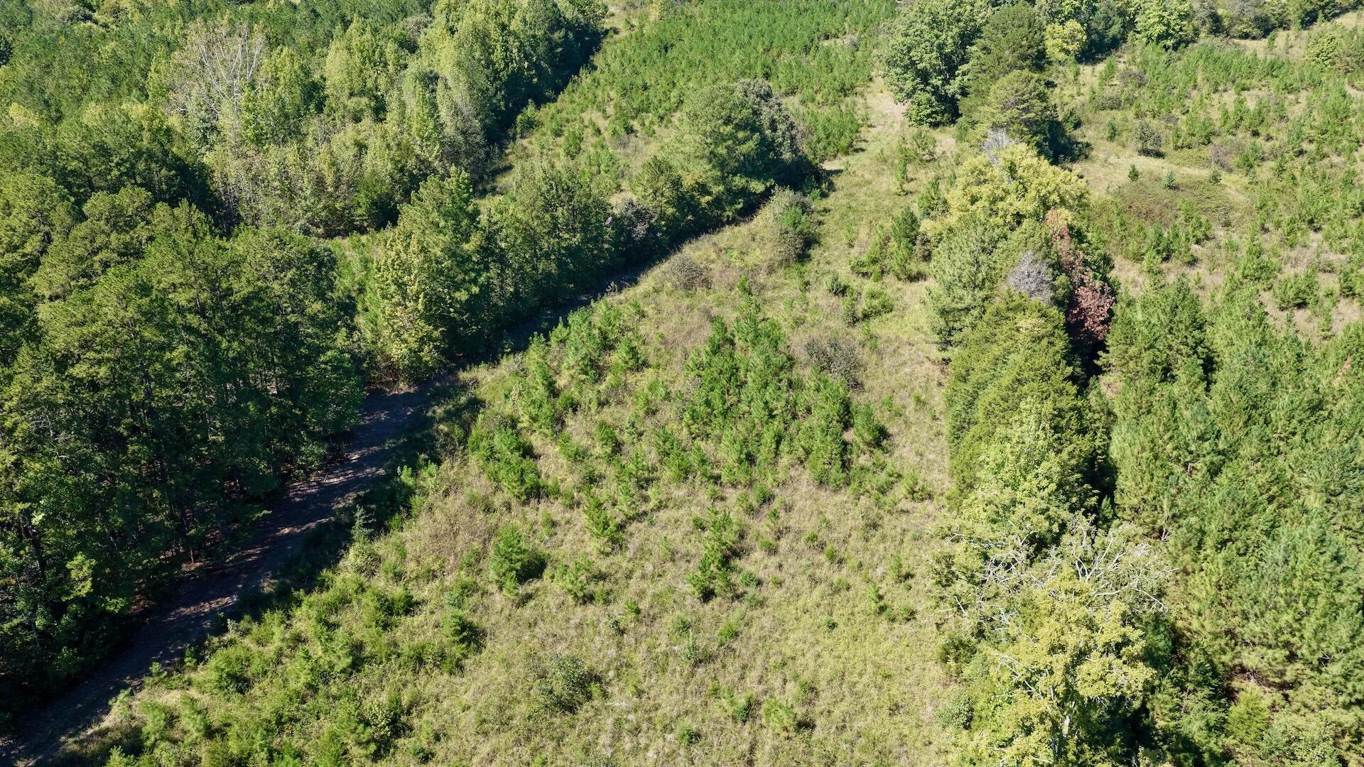 1170 Shelton RD - Photo 39