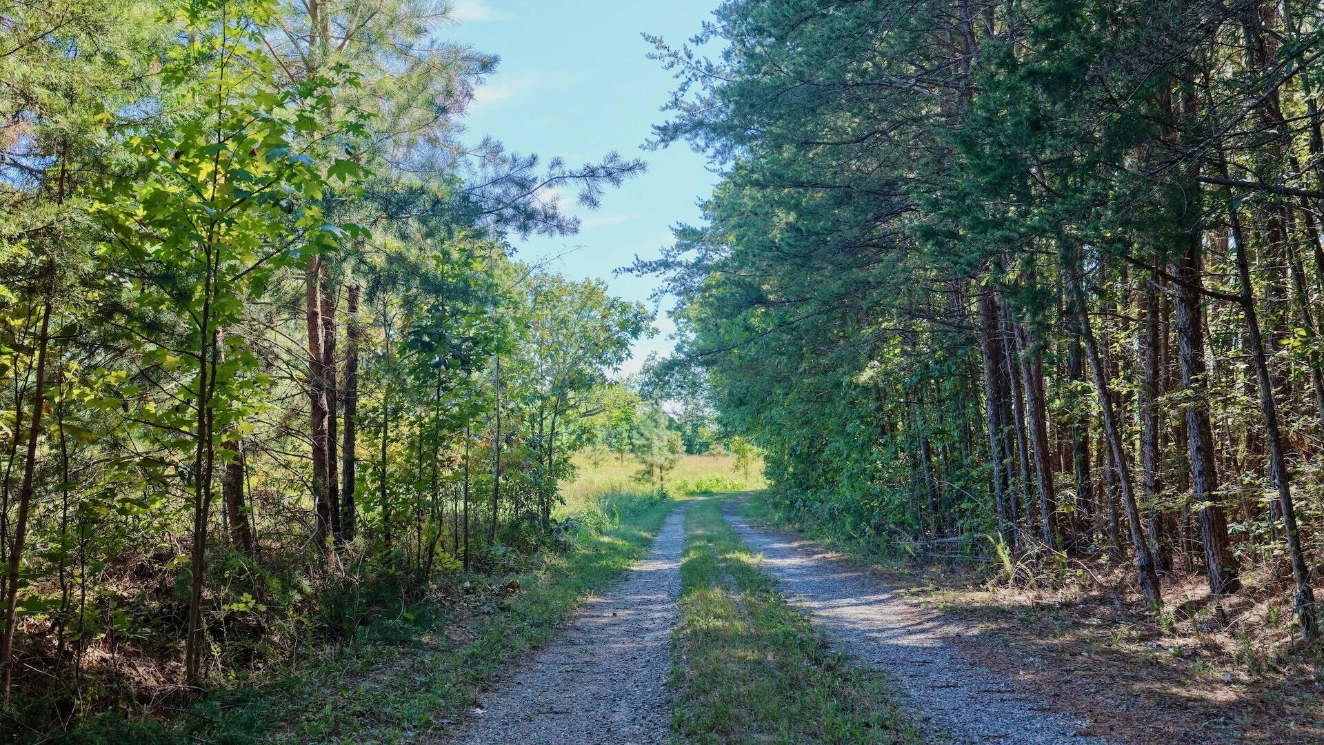 1170 Shelton RD - Photo 42