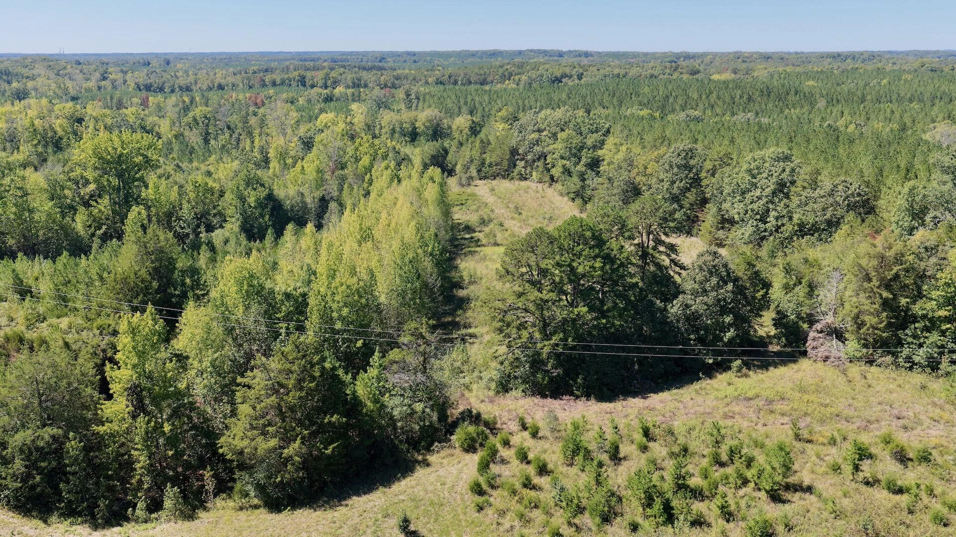 1170 Shelton RD - Photo 43