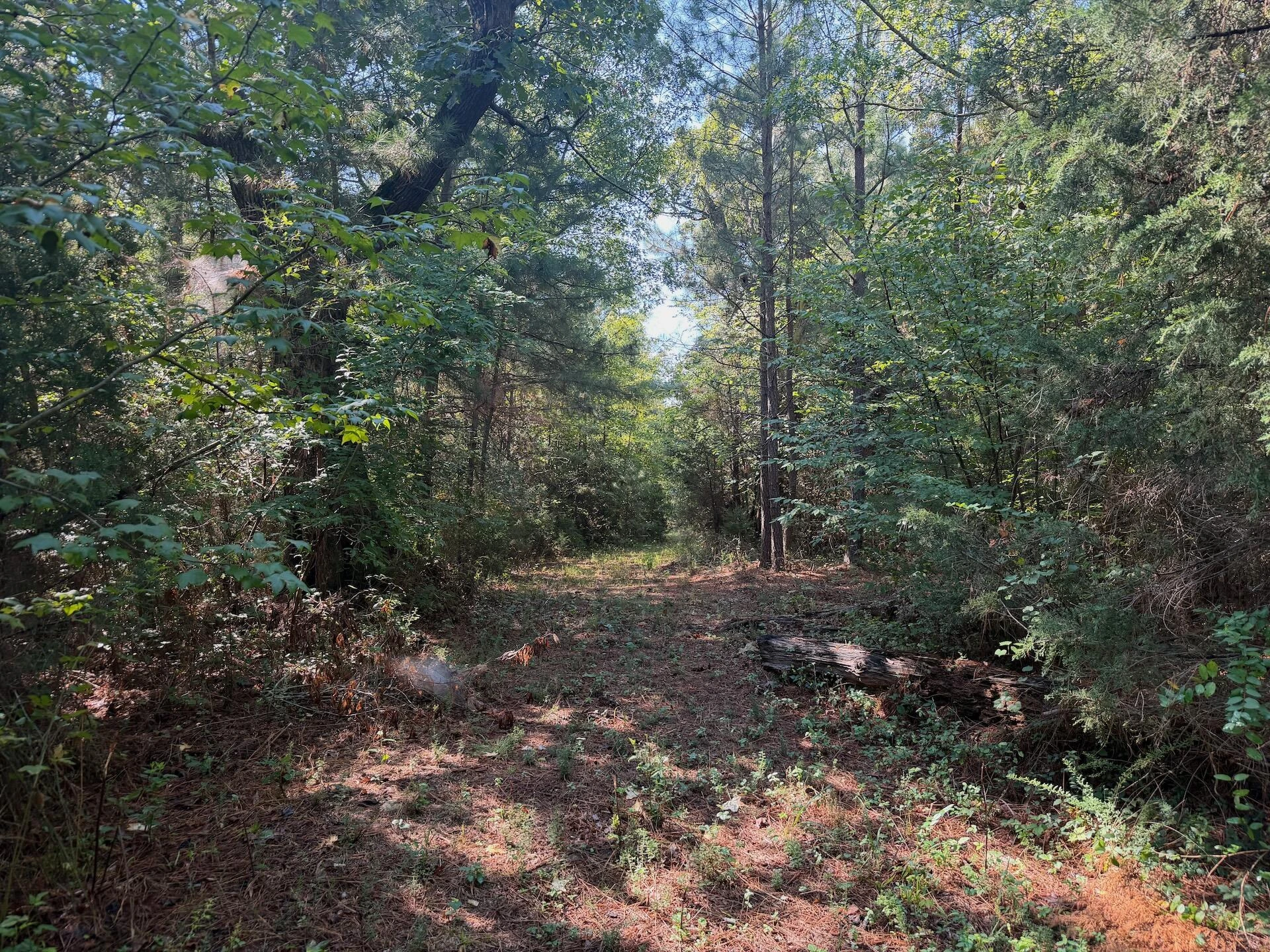 1170 Shelton RD - Photo 45