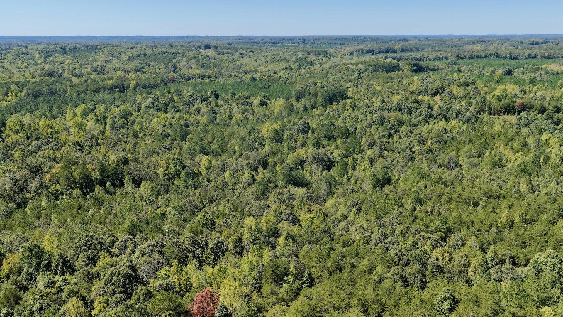 1170 Shelton RD - Photo 47