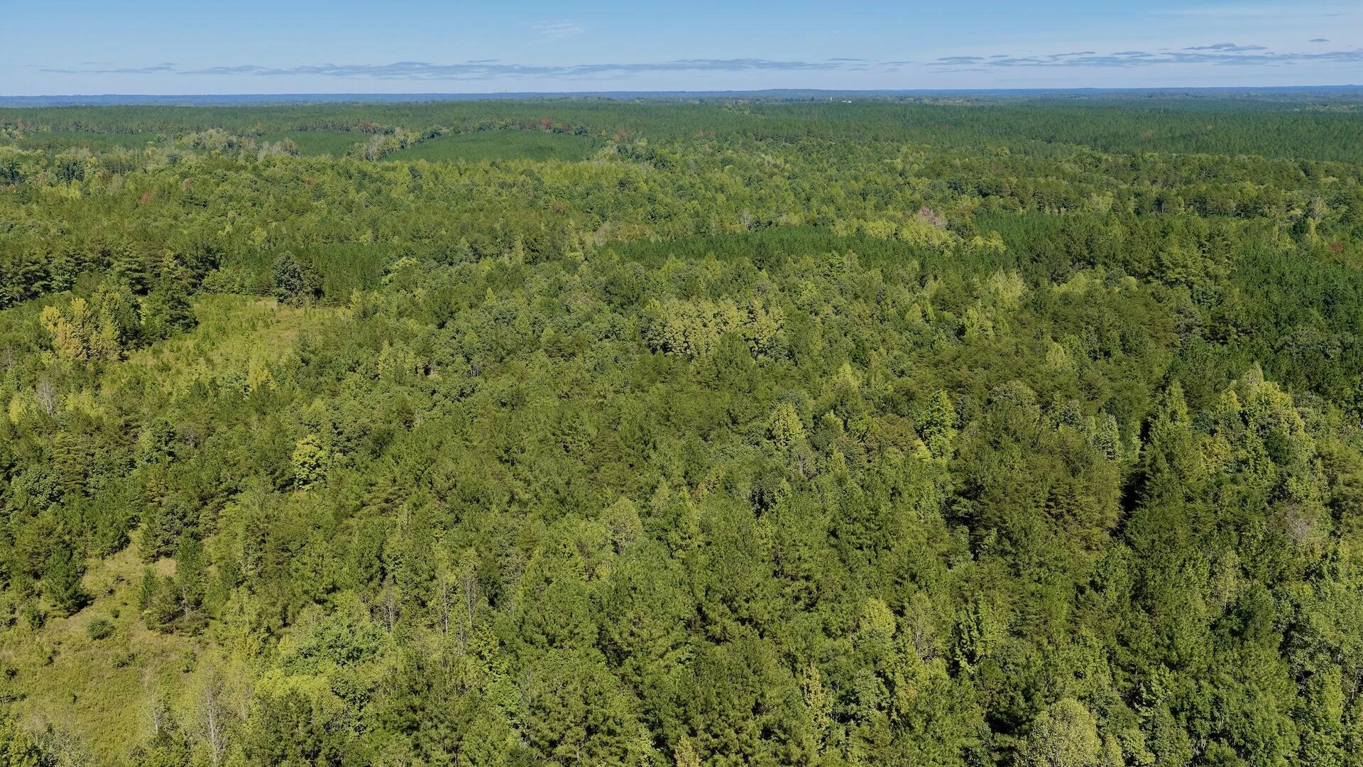 1170 Shelton RD - Photo 61