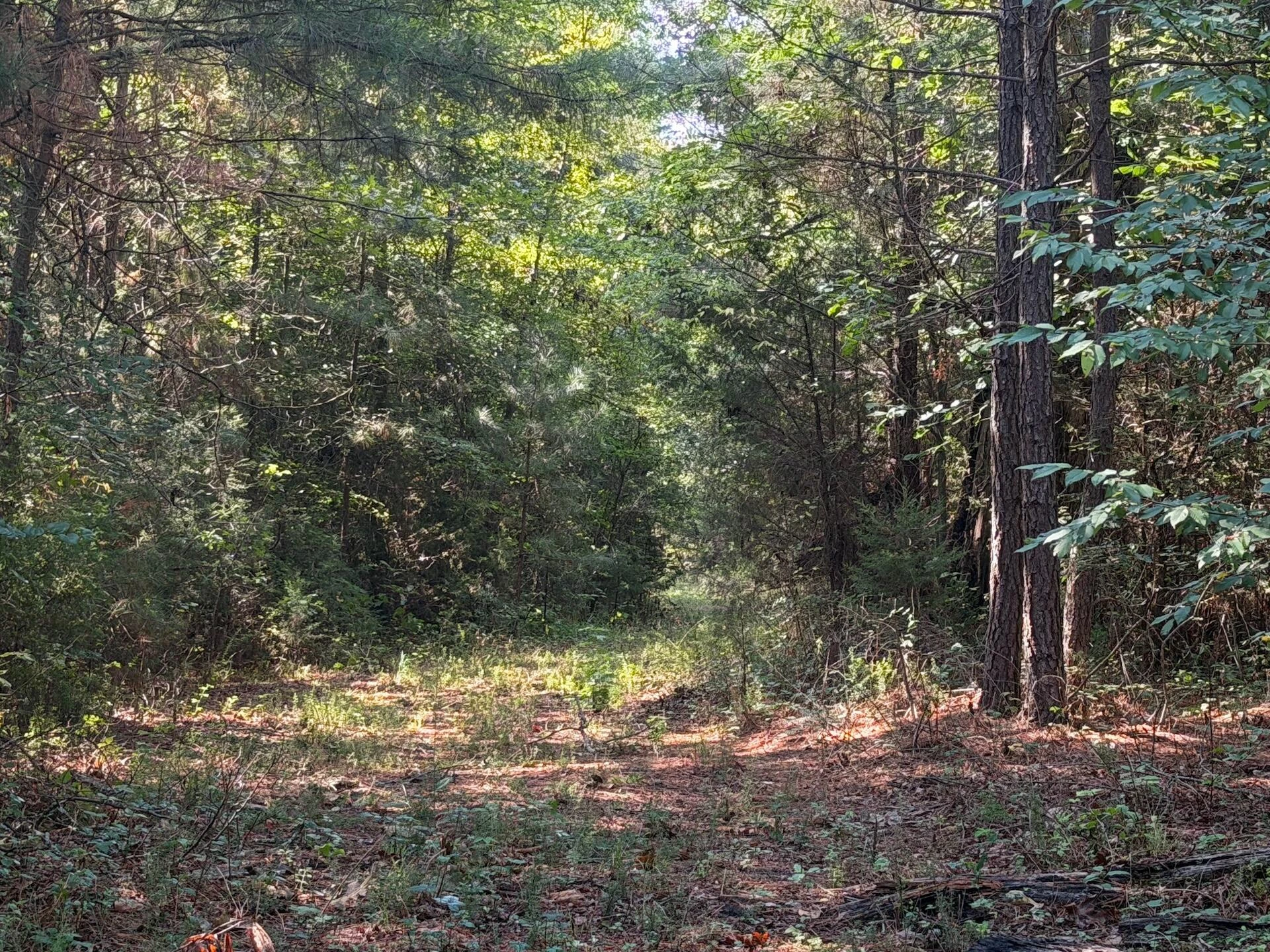 1170 Shelton RD - Photo 64