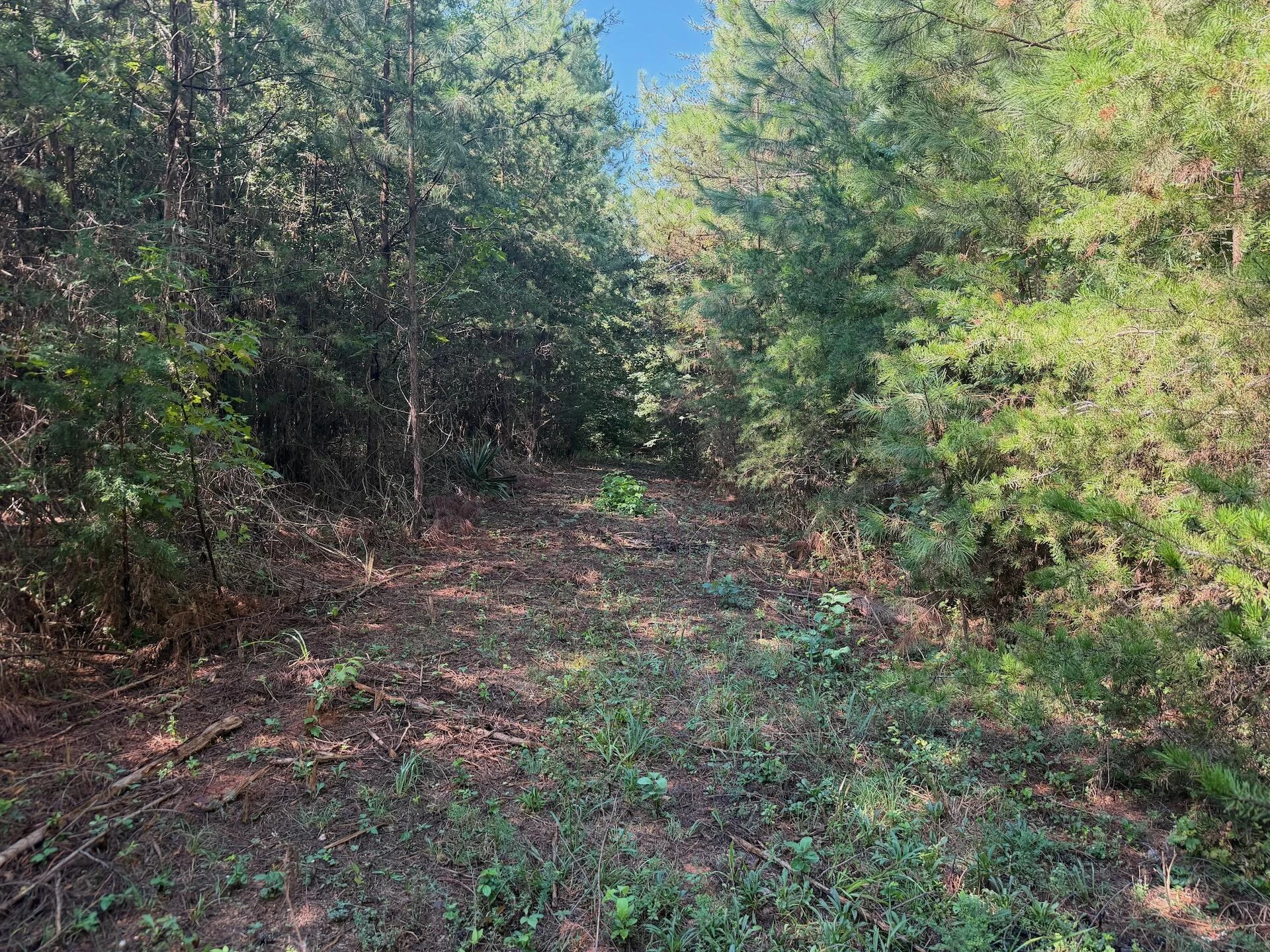 1170 Shelton RD - Photo 65