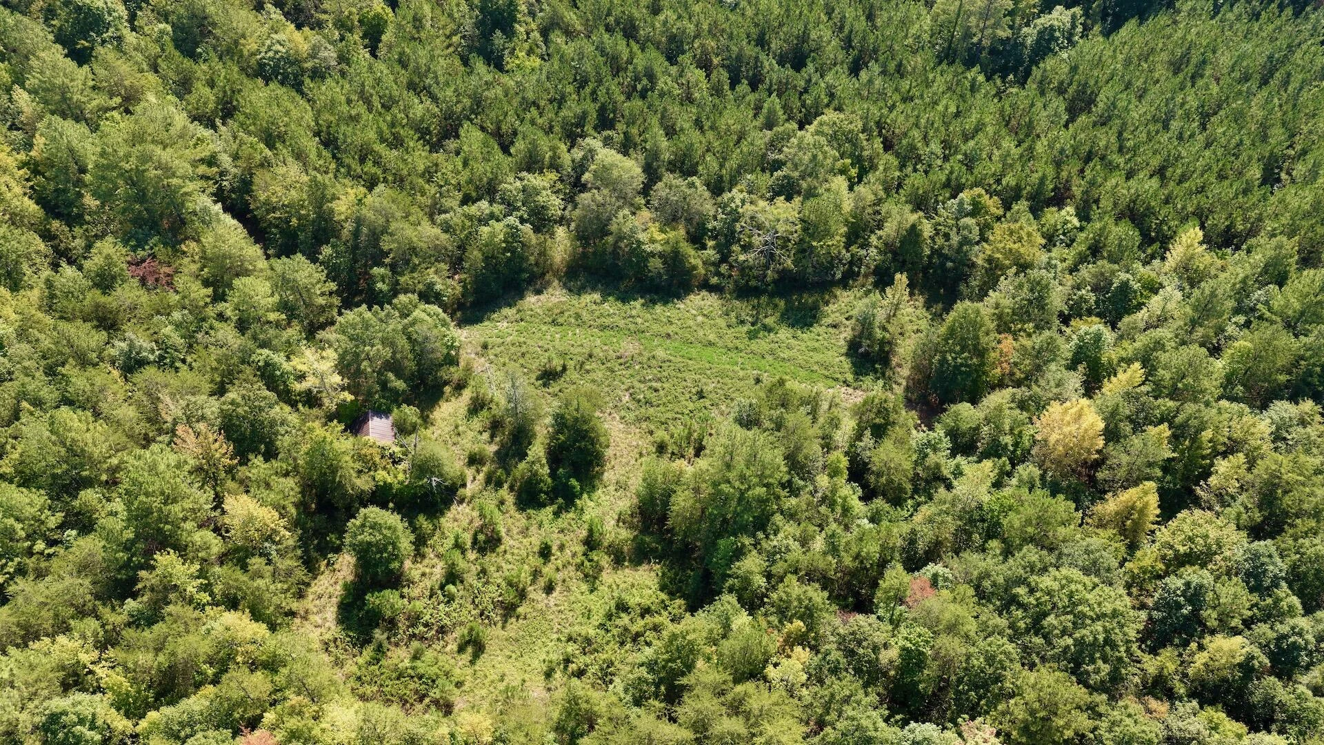 1170 Shelton RD - Photo 66