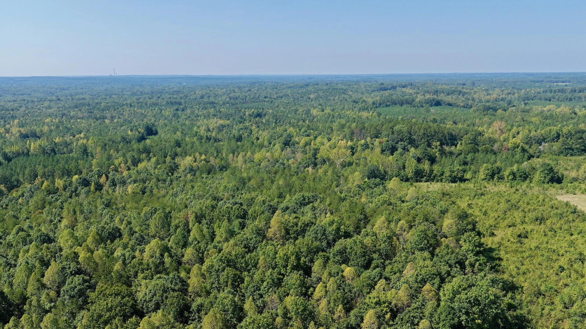 1170 Shelton RD - Photo 68