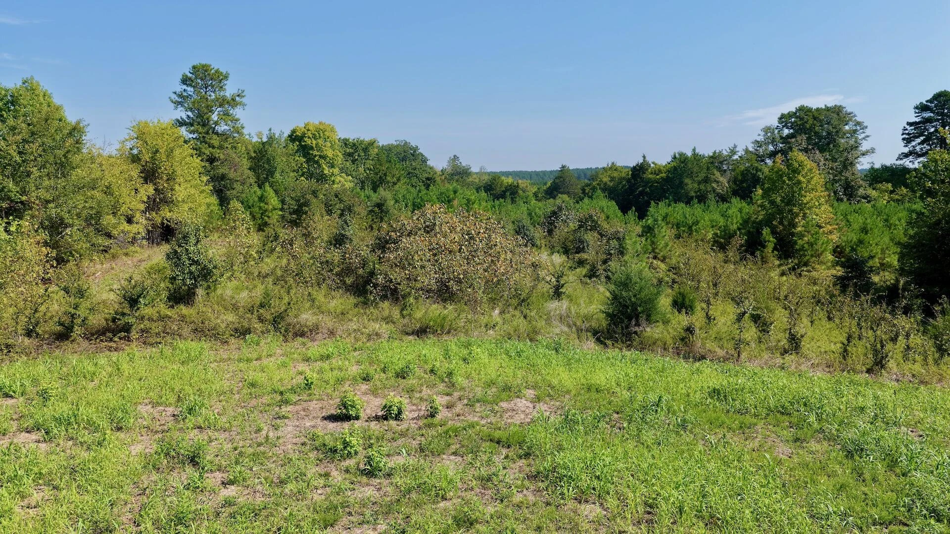 1170 Shelton RD - Photo 77