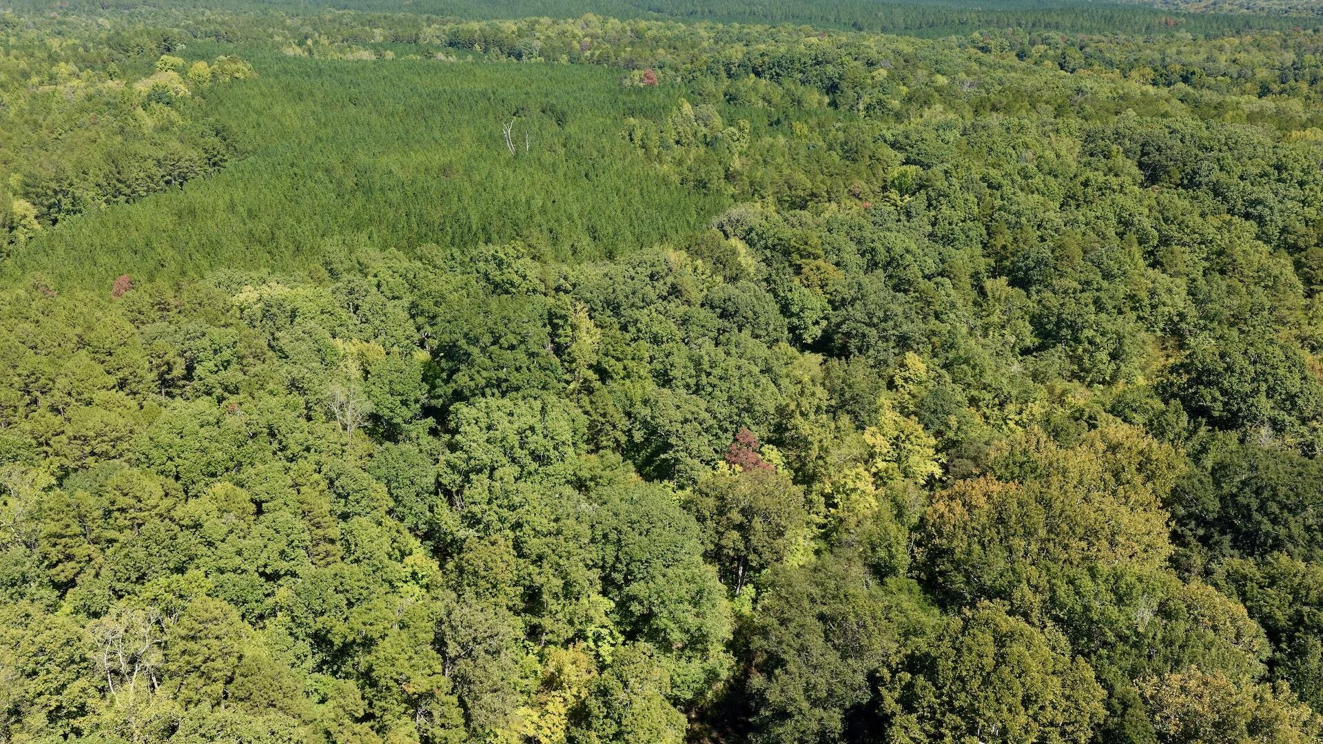 1170 Shelton RD - Photo 85