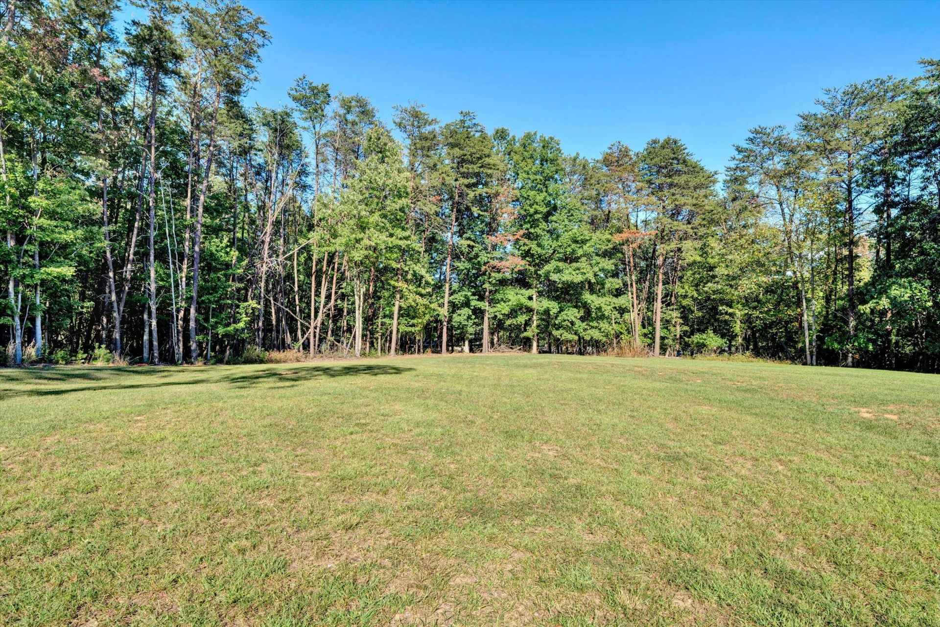 510 Thornblade WAY - Photo 50