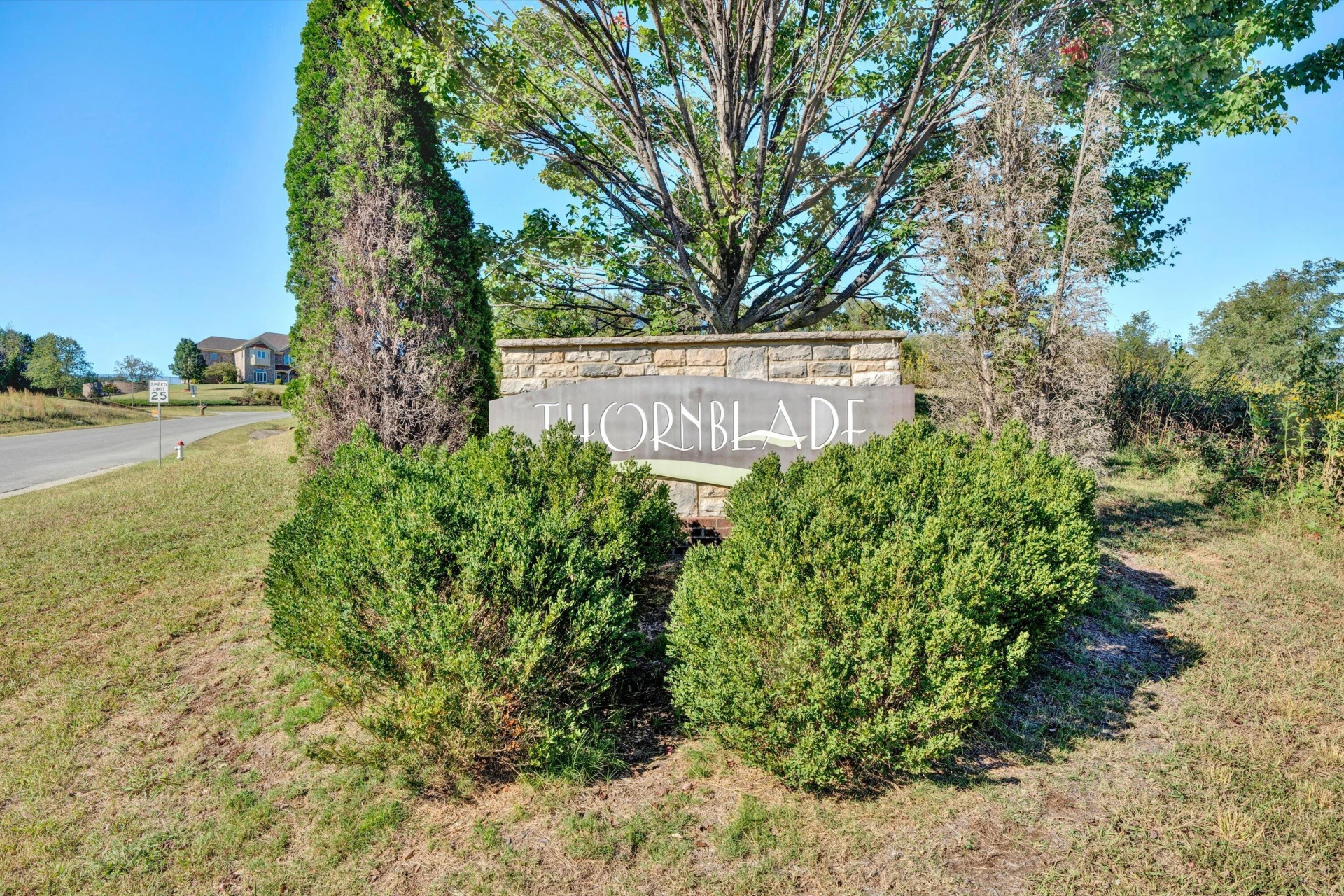 510 Thornblade WAY - Photo 53