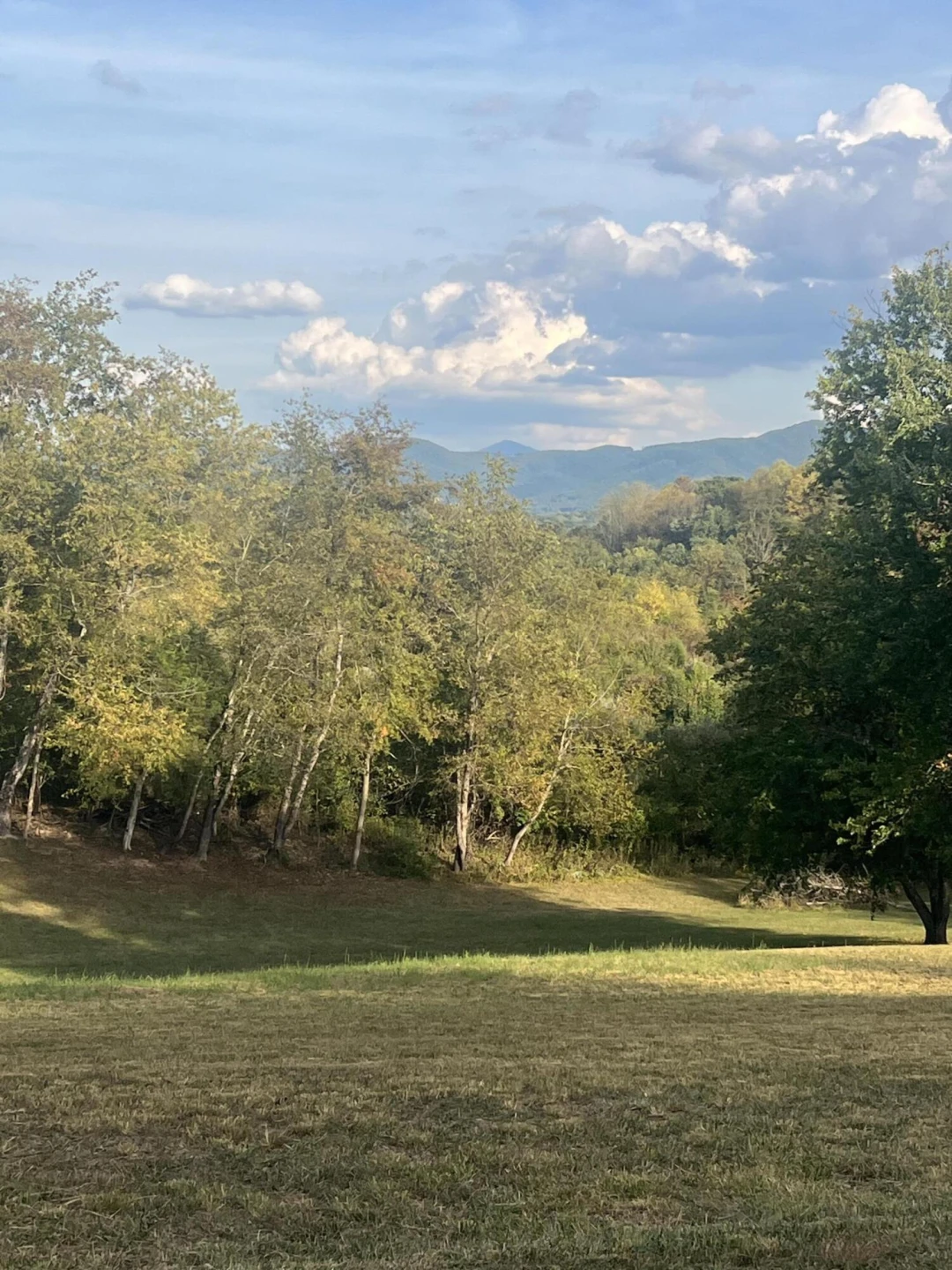 2864 Blue Ridge Turnpike - Photo 5