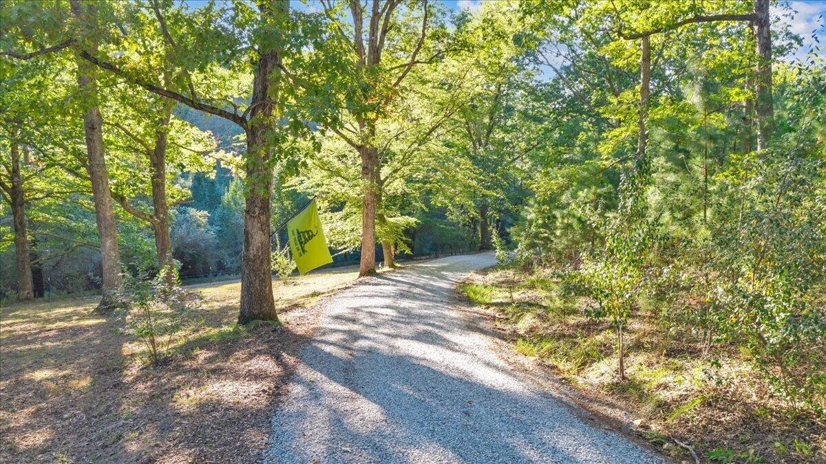 1182 Rabbit DR - Photo 83