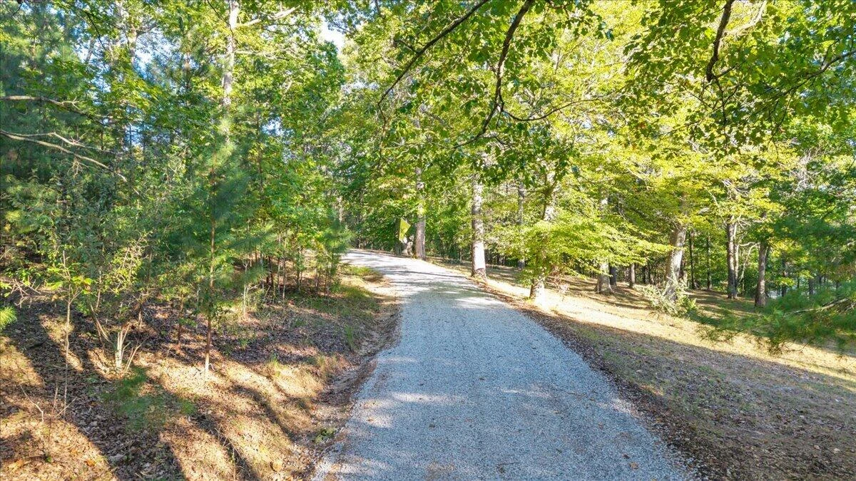 1182 Rabbit DR - Photo 86