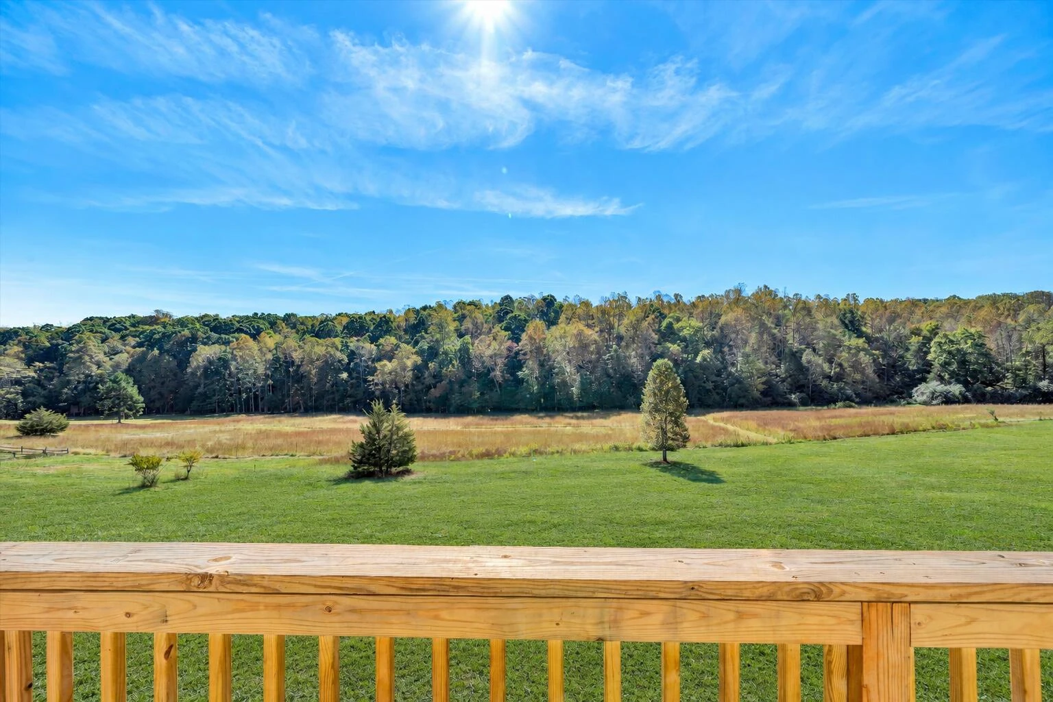 718 Wysong Mill RD - Photo 8