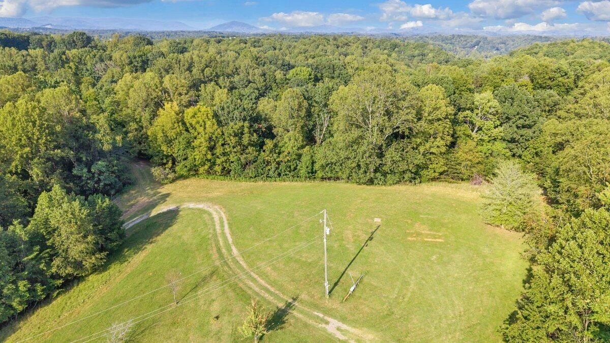 13384 Hardy RD - Photo 3