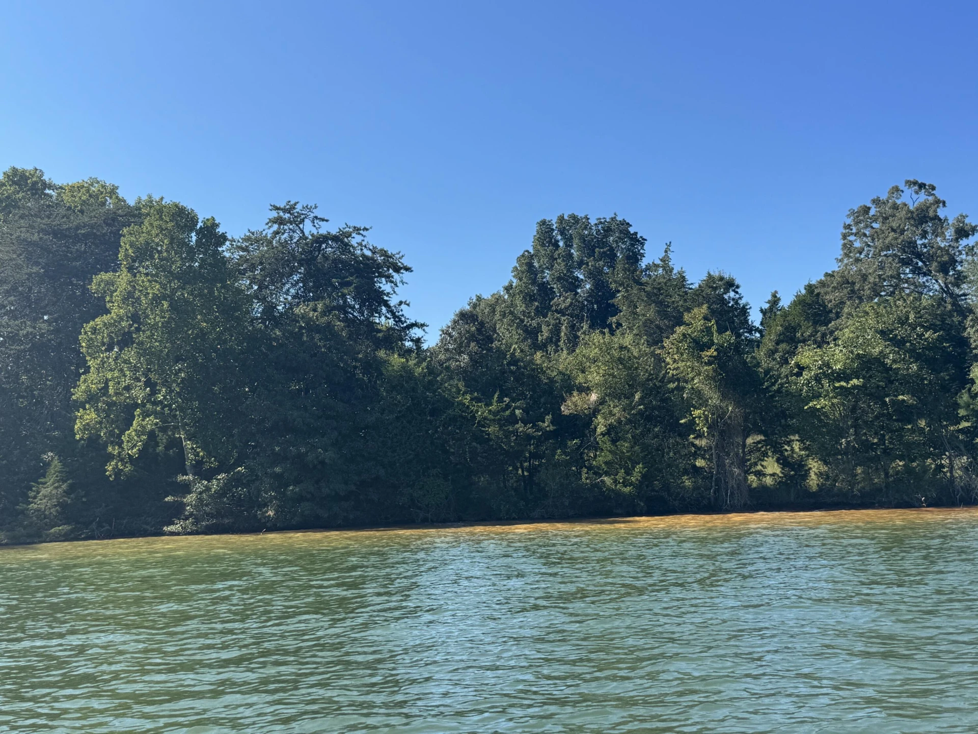 Lot 4 Gangplank RD - Photo 4