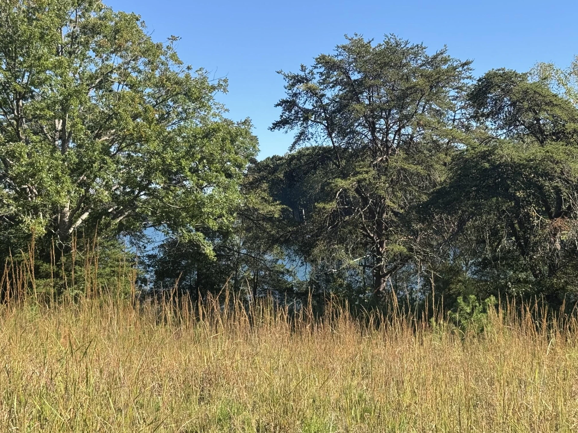 Lot 4 Gangplank RD - Photo 67