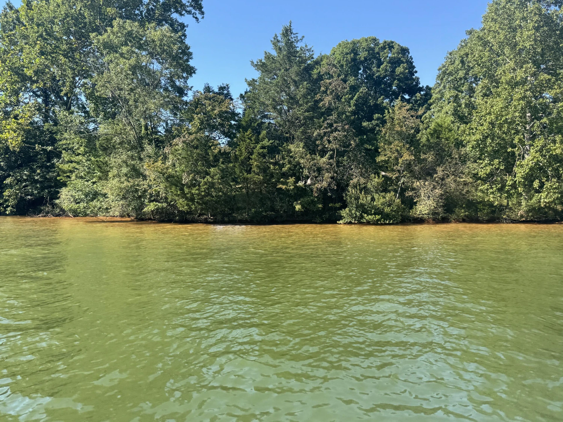 Lot 7 Gangplank RD - Photo 7