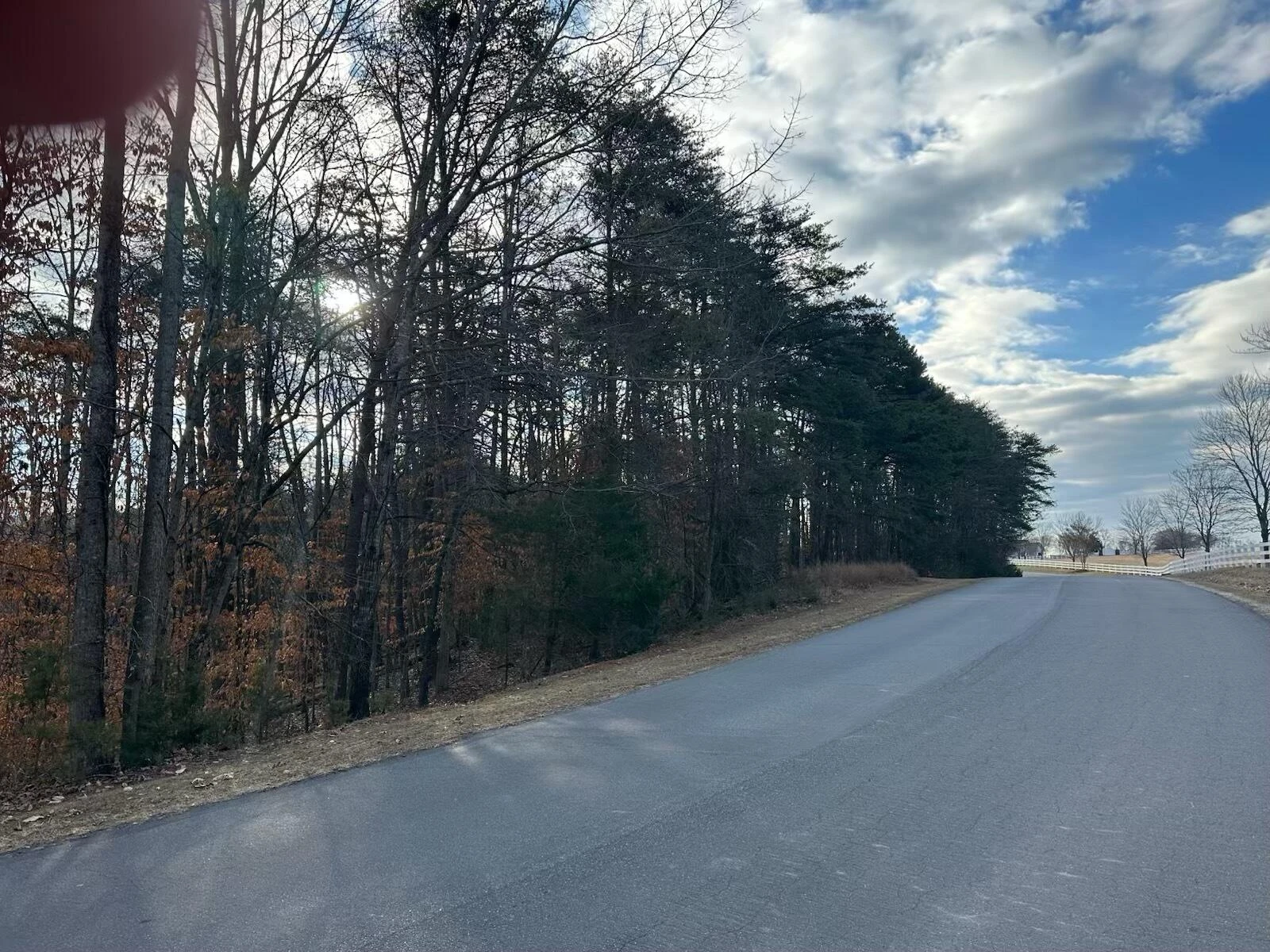 Lot 91 Boardwalk DR - Photo 2