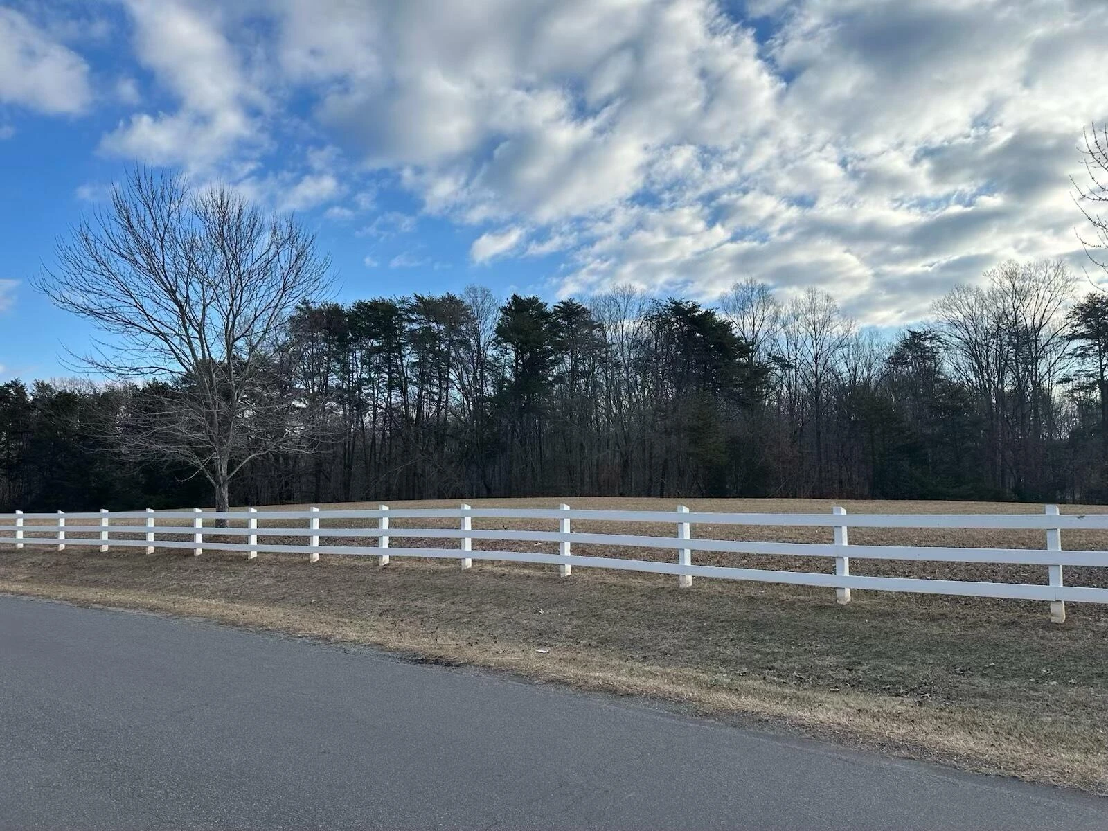 Lot 91 Boardwalk DR - Photo 5