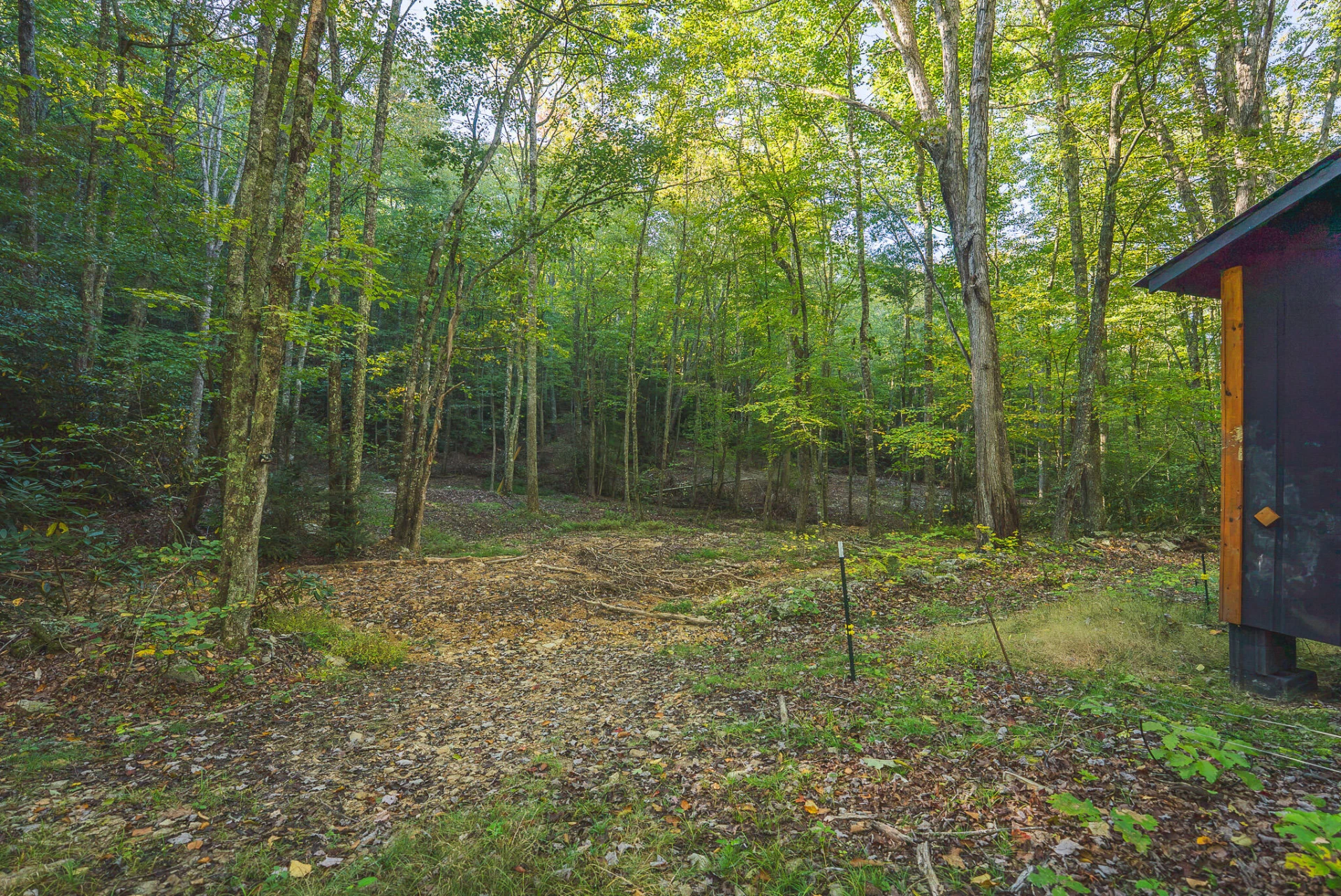 TBD Gator Mountain RD - Photo 4