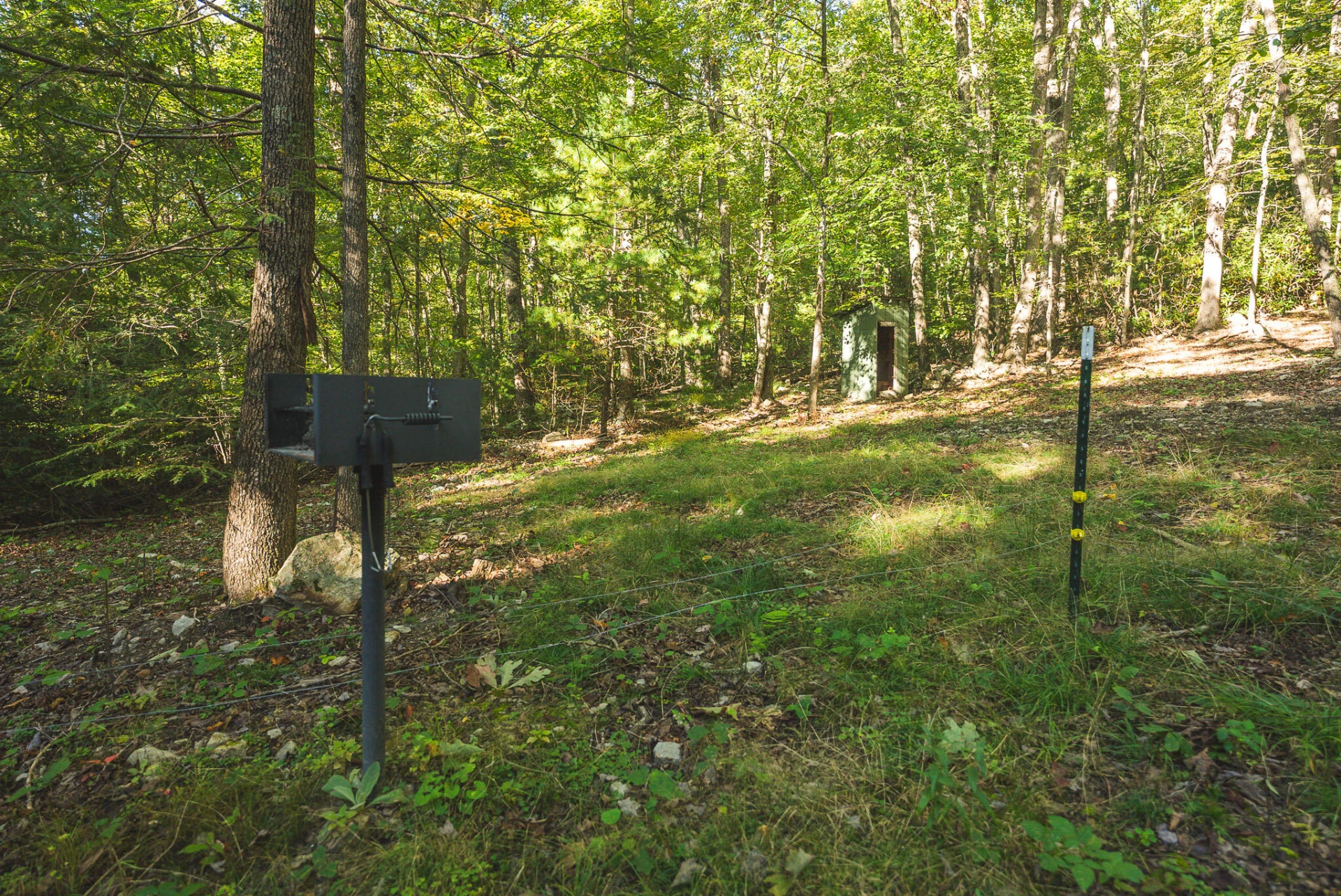 TBD Gator Mountain RD - Photo 17