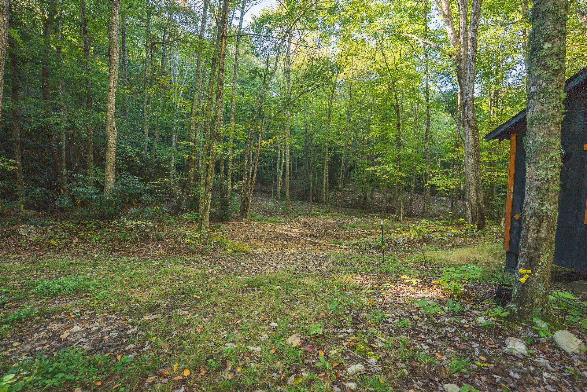 TBD Gator Mountain RD - Photo 18