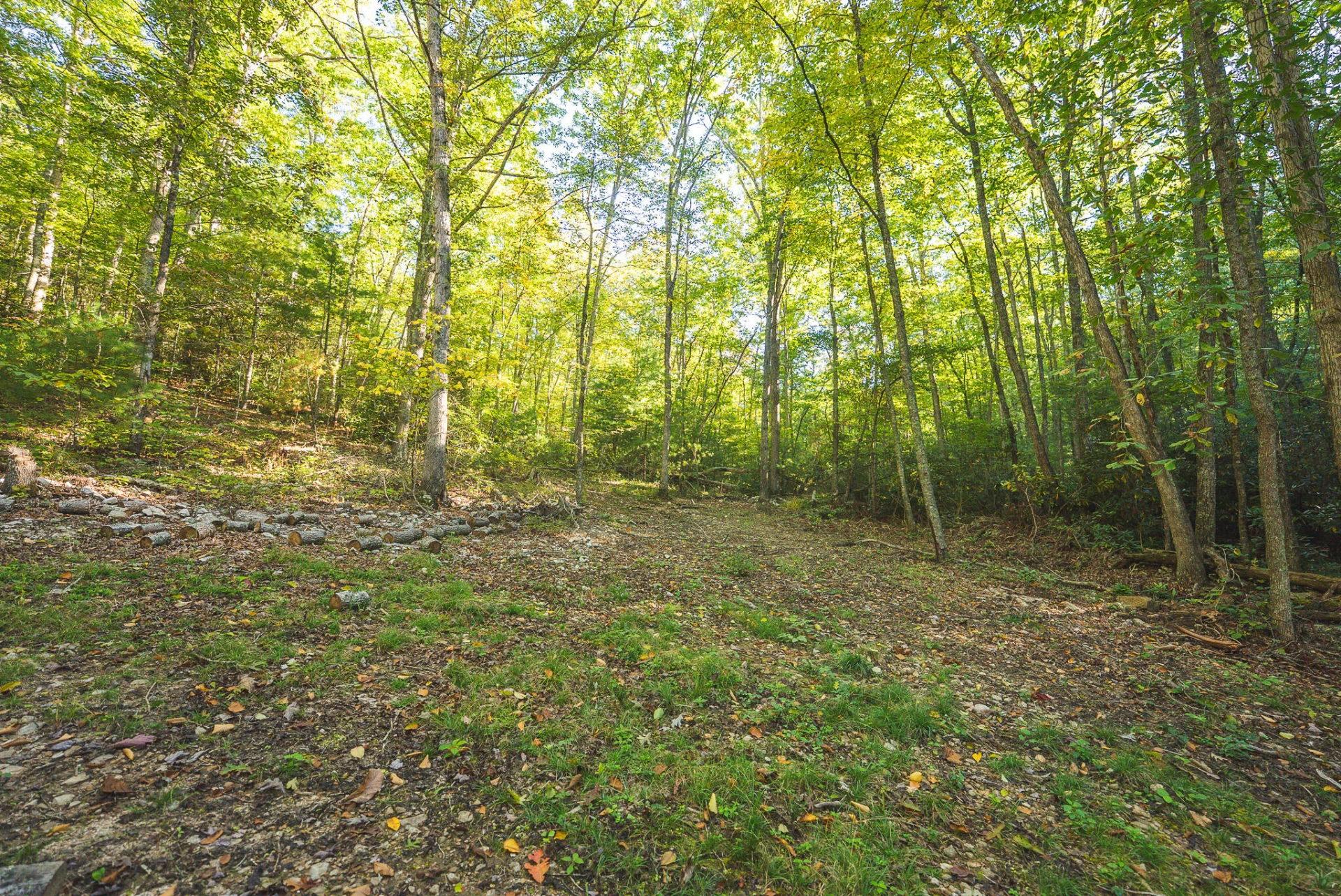 TBD Gator Mountain RD - Photo 19