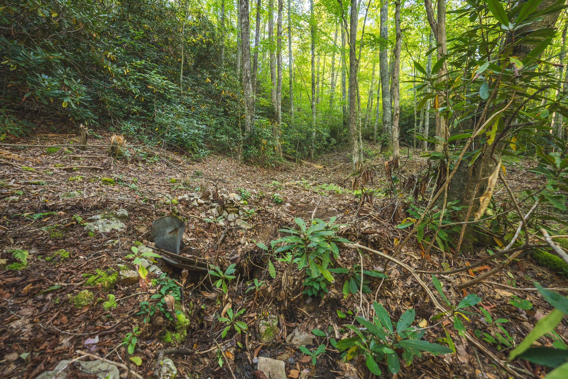 TBD Gator Mountain RD - Photo 22