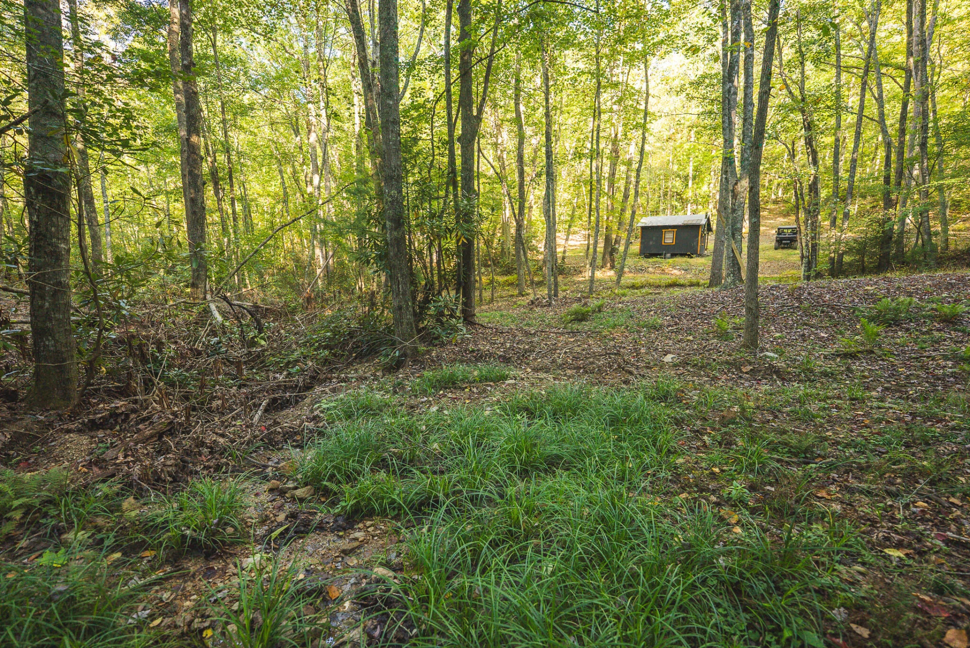 TBD Gator Mountain RD - Photo 23