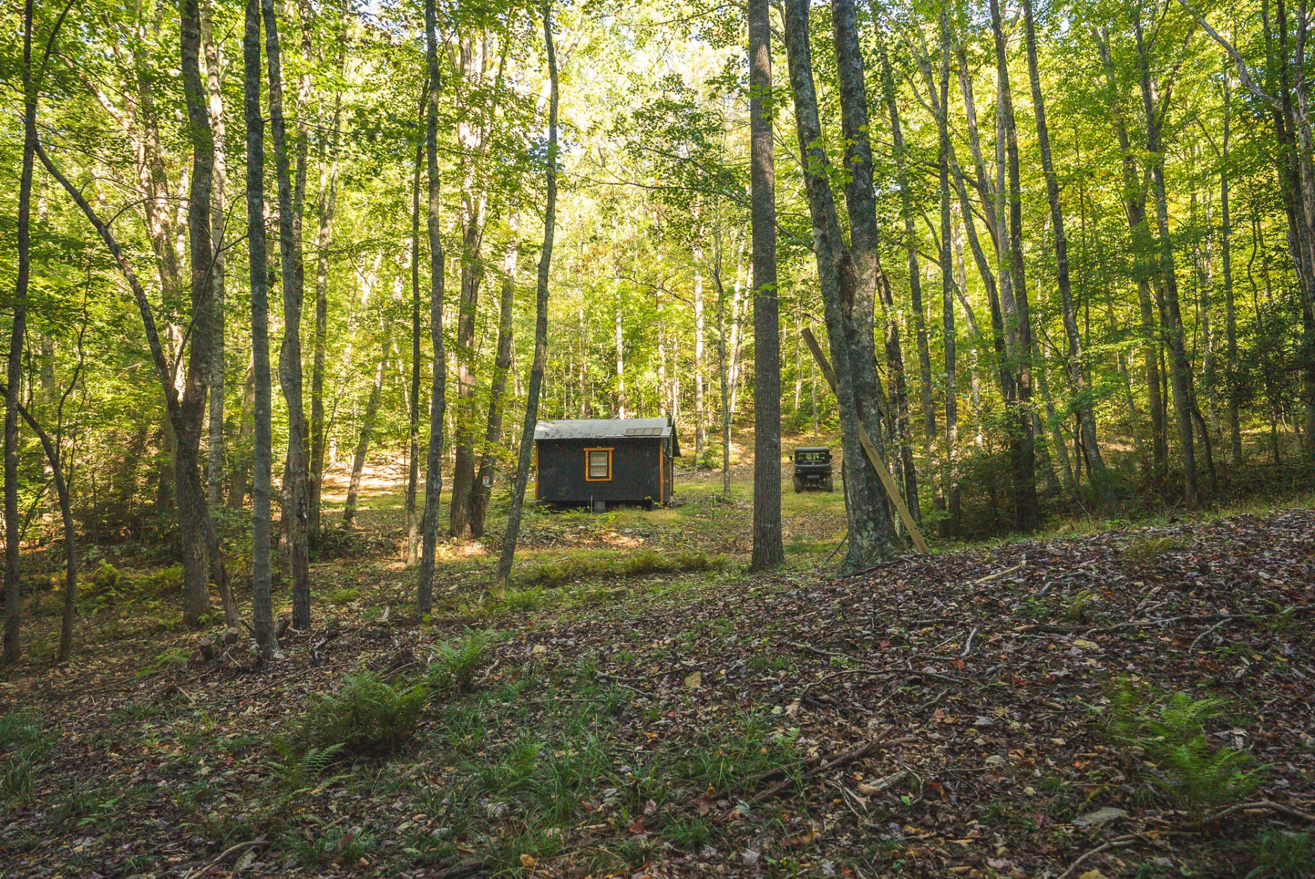 TBD Gator Mountain RD - Photo 24