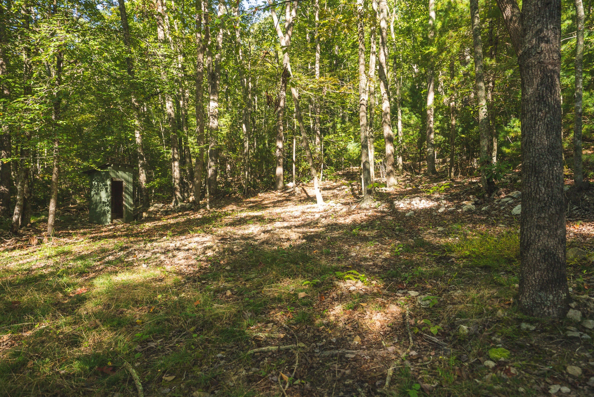 TBD Gator Mountain RD - Photo 28