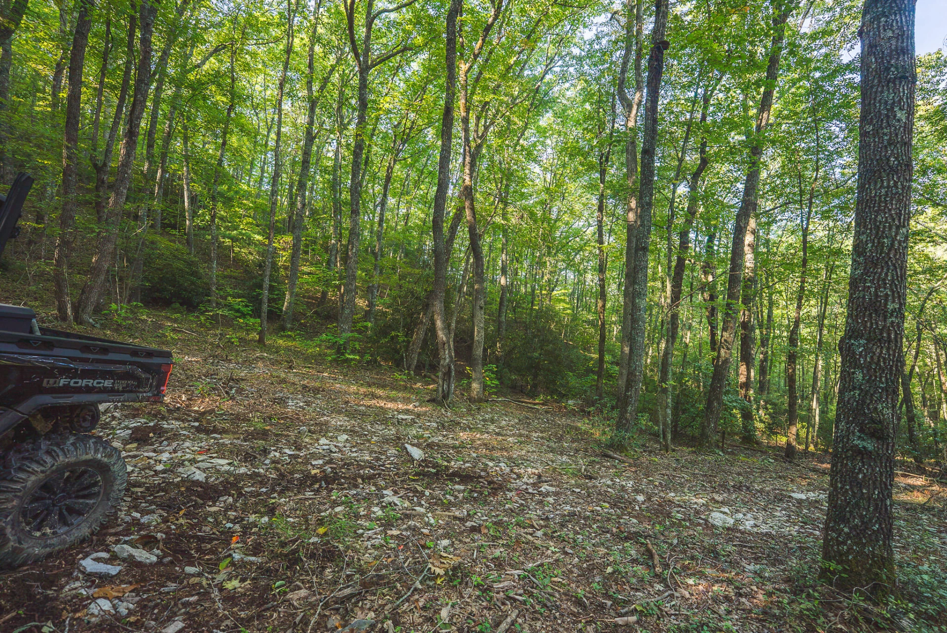 TBD Gator Mountain RD - Photo 30